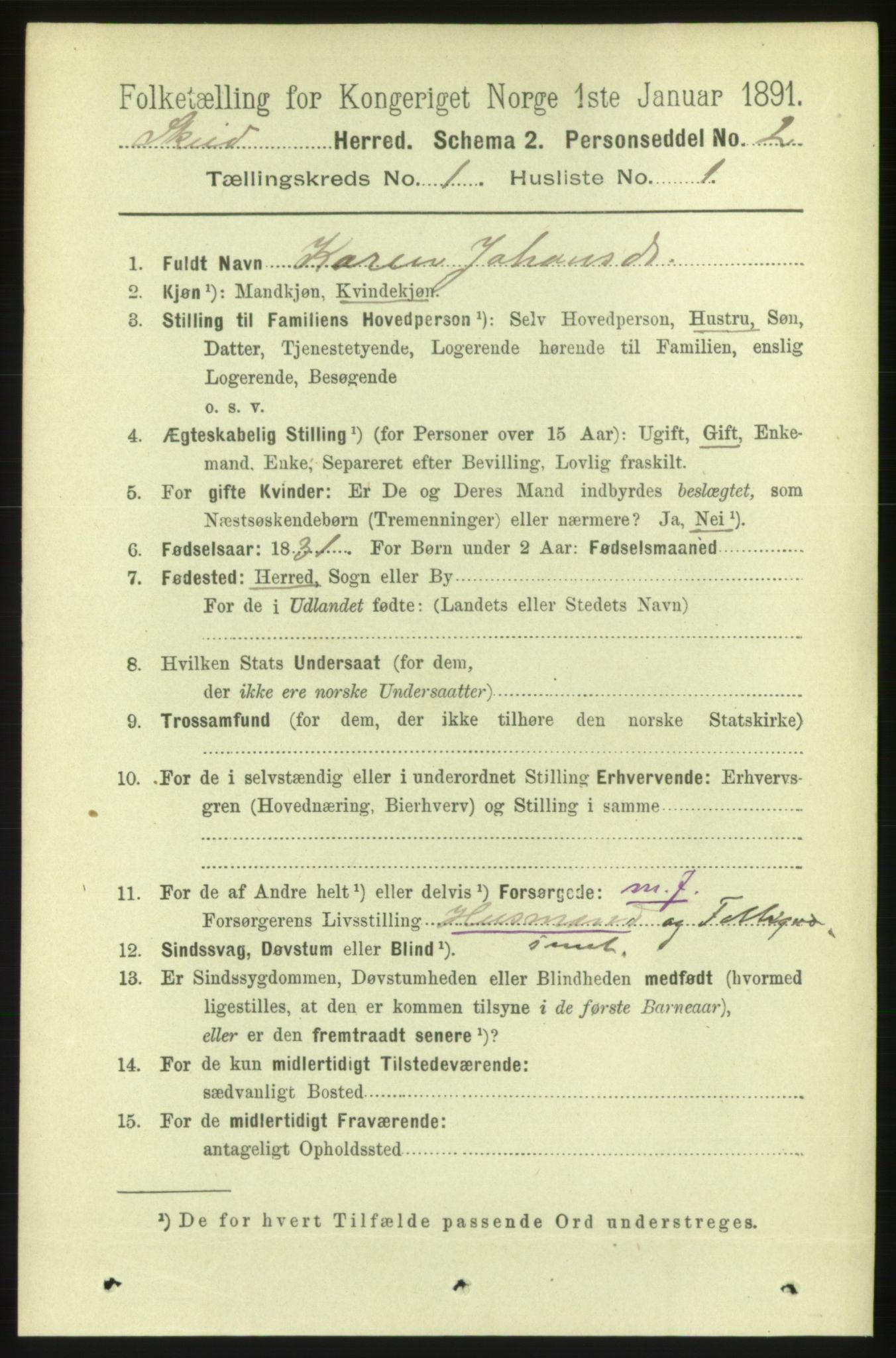 RA, 1891 census for 1732 Skei, 1891, p. 166