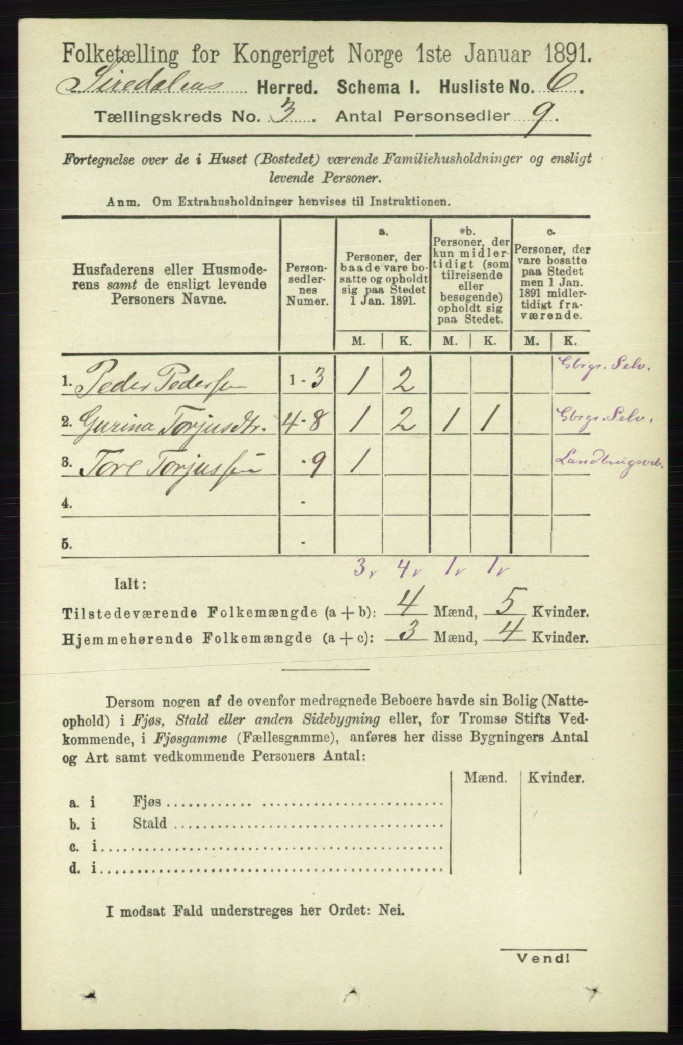 RA, 1891 census for 1046 Sirdal, 1891, p. 626