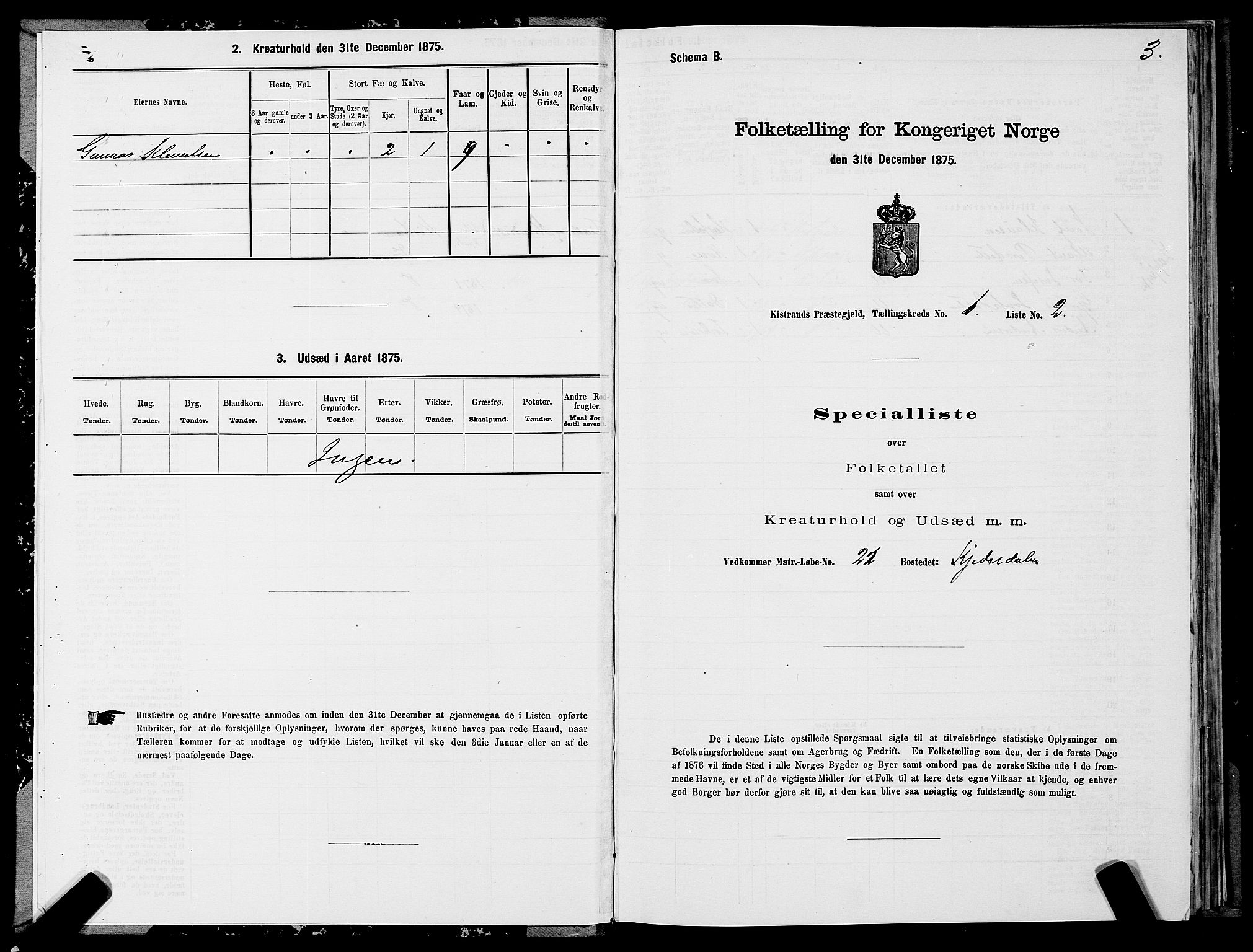 SATØ, 1875 census for 2020P Kistrand, 1875, p. 1003