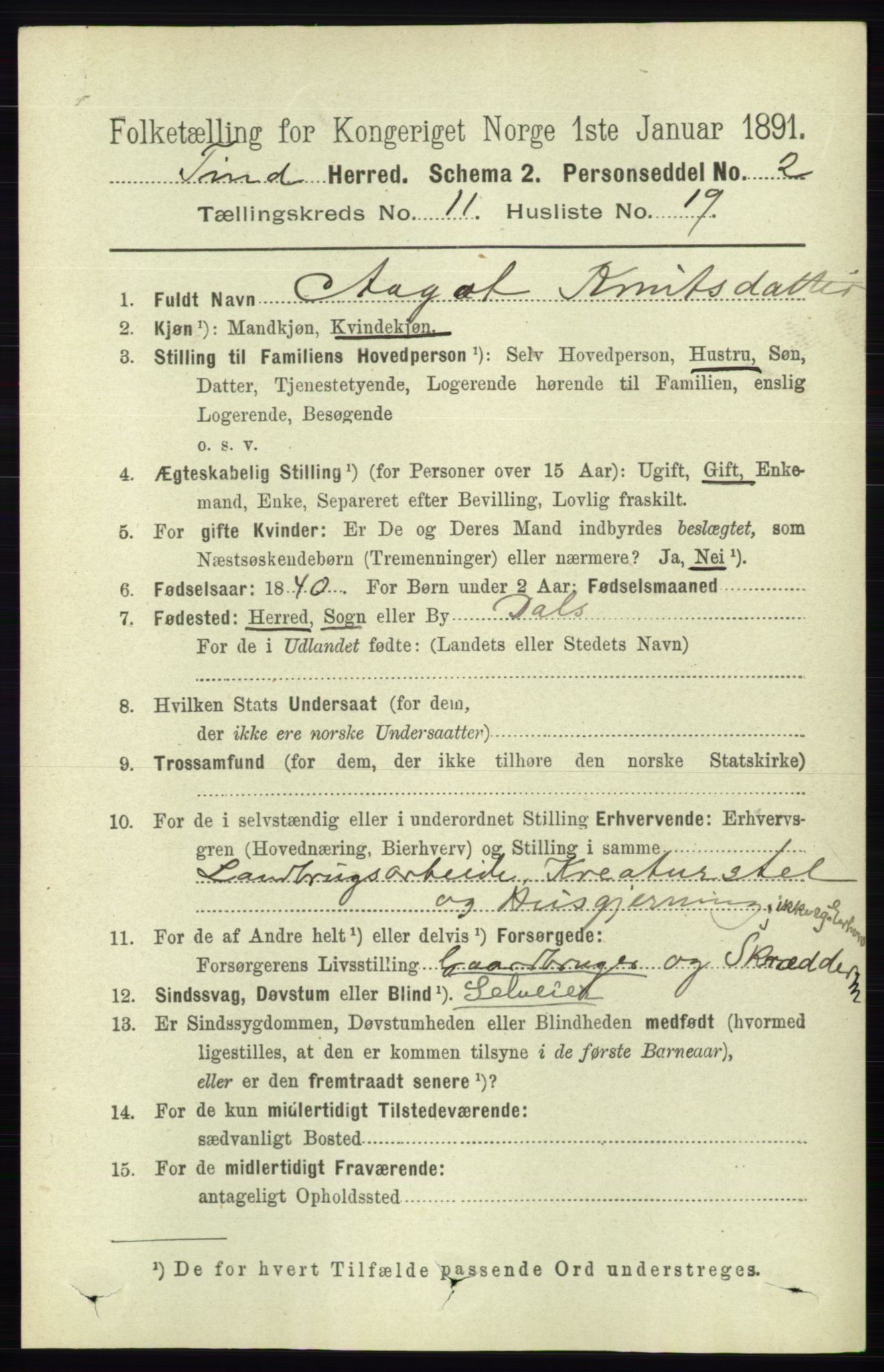 RA, 1891 census for 0826 Tinn, 1891, p. 2215