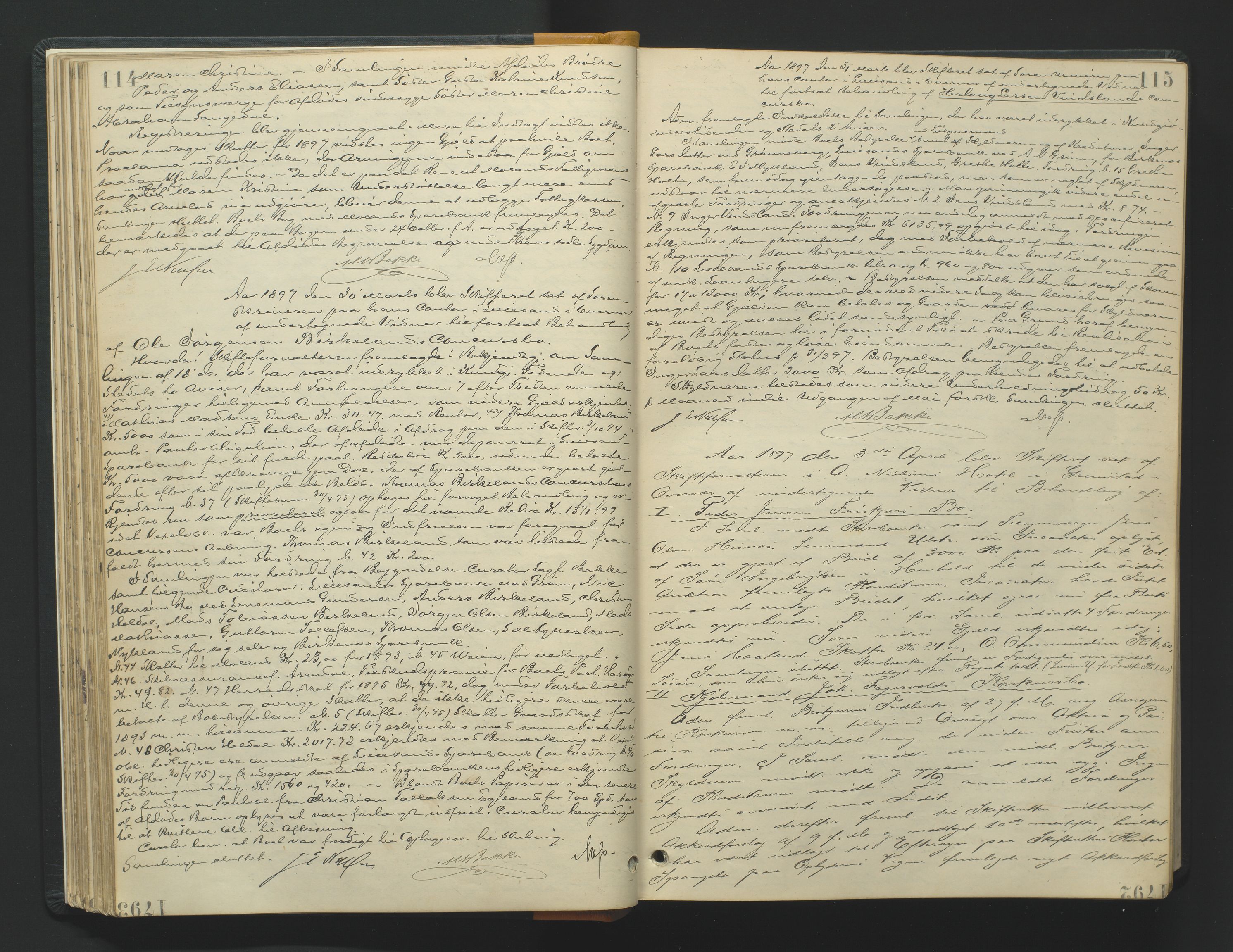 Vestre Nedenes/Sand sorenskriveri, AV/SAK-1221-0010/H/Hc/L0007: Skifteforhandlingsprotokoll nr. 5, 1894-1916, p. 114-115