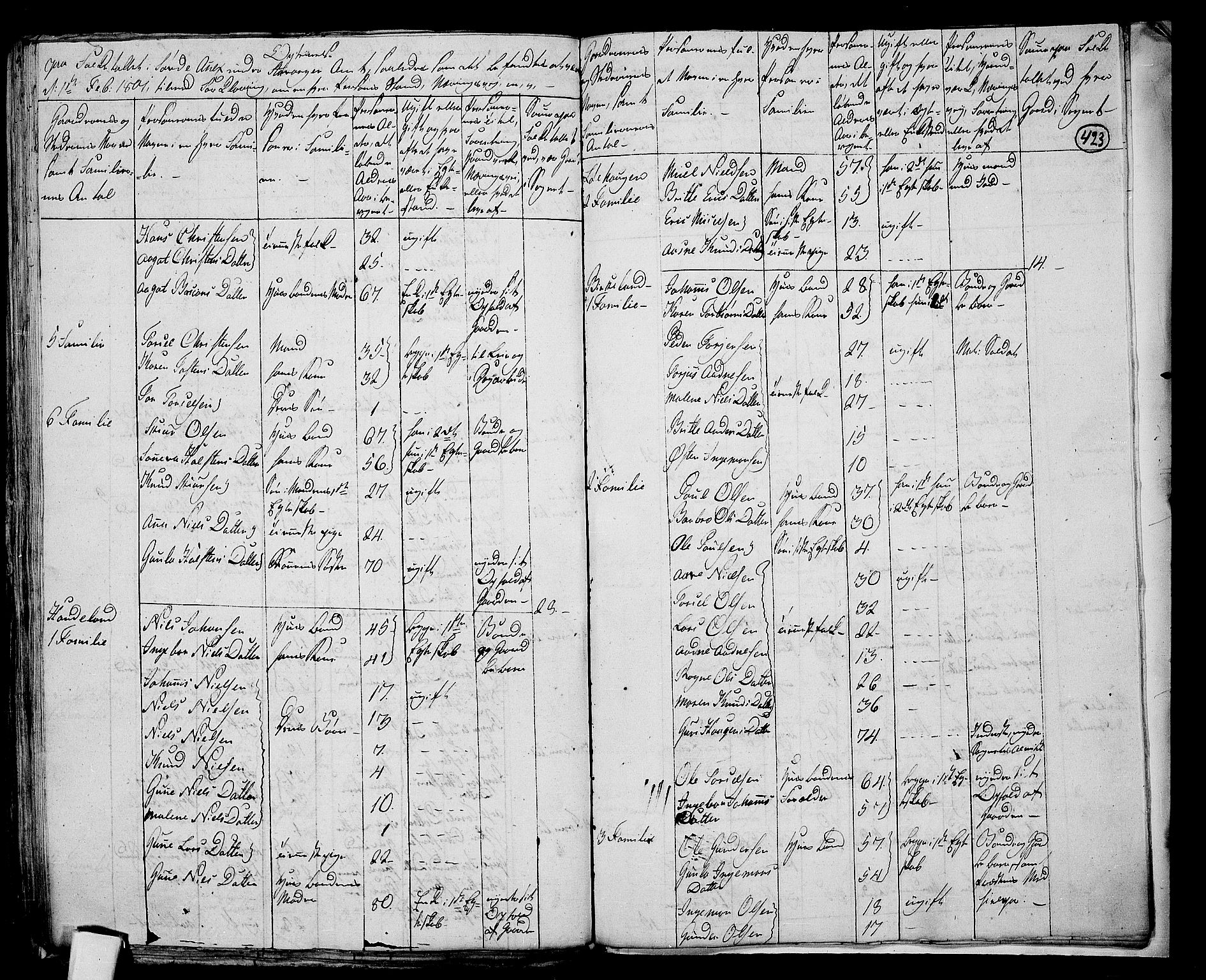 RA, 1801 census for 1134P Suldal, 1801, p. 422b-423a