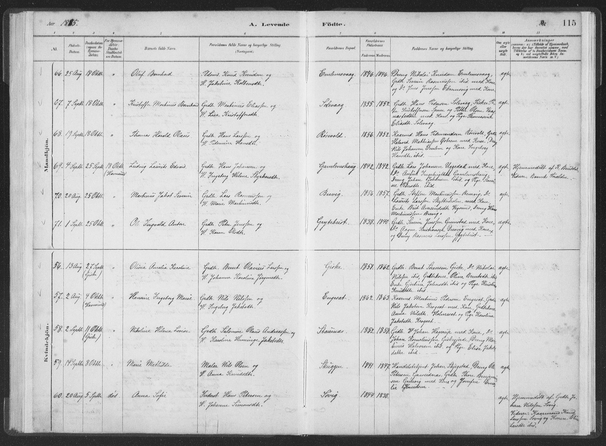 Ministerialprotokoller, klokkerbøker og fødselsregistre - Møre og Romsdal, AV/SAT-A-1454/528/L0401: Parish register (official) no. 528A12I, 1880-1920, p. 115