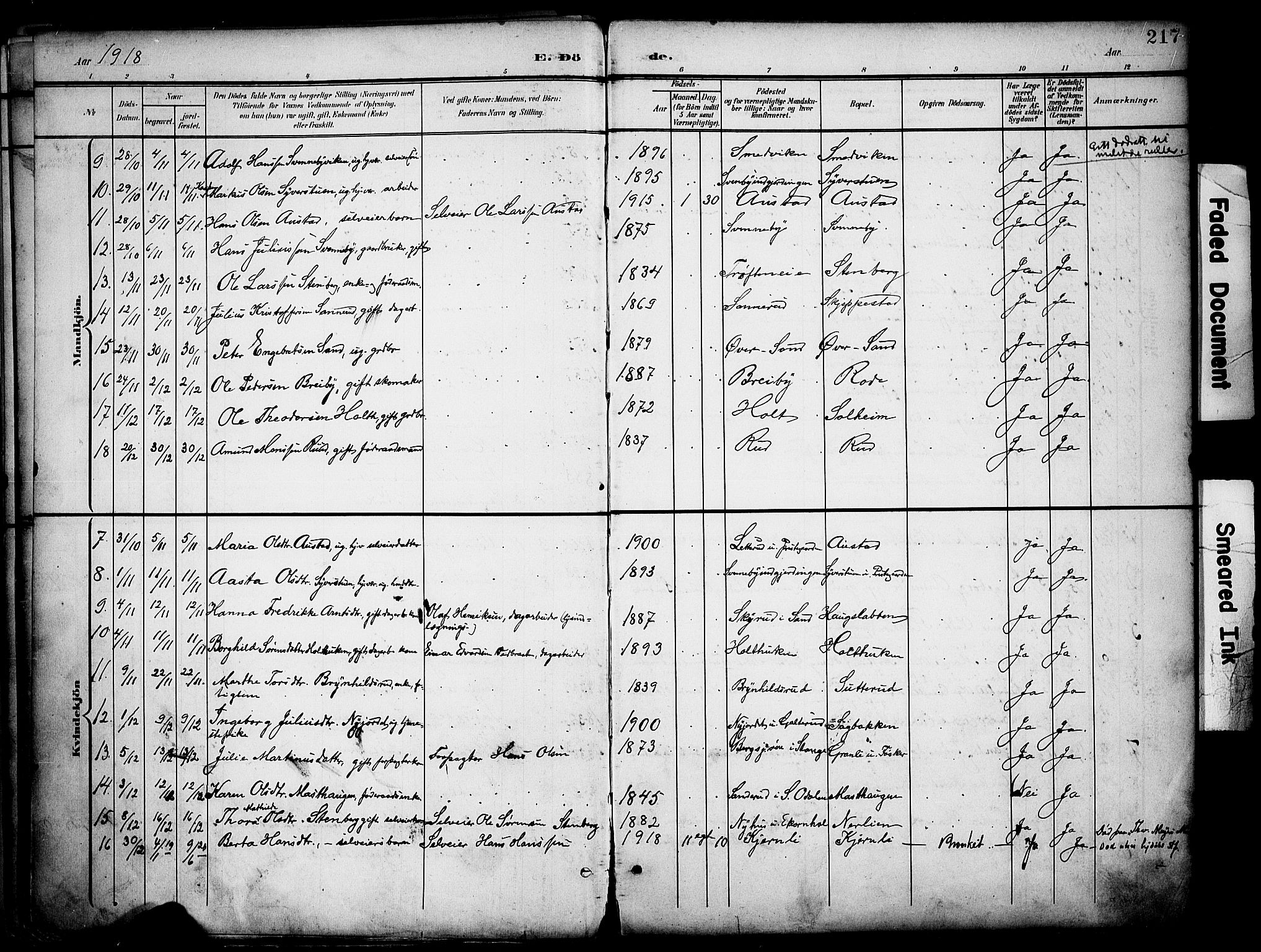 Nord-Odal prestekontor, AV/SAH-PREST-032/H/Ha/Haa/L0007: Parish register (official) no. 7, 1902-1926, p. 217