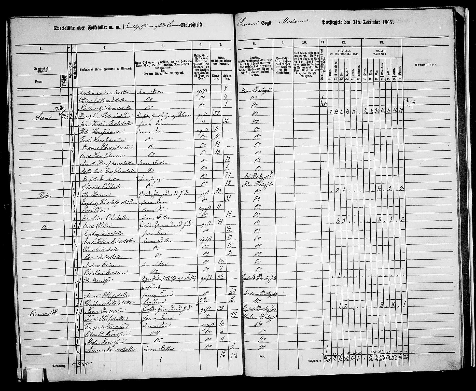 RA, 1865 census for Modum, 1865, p. 313