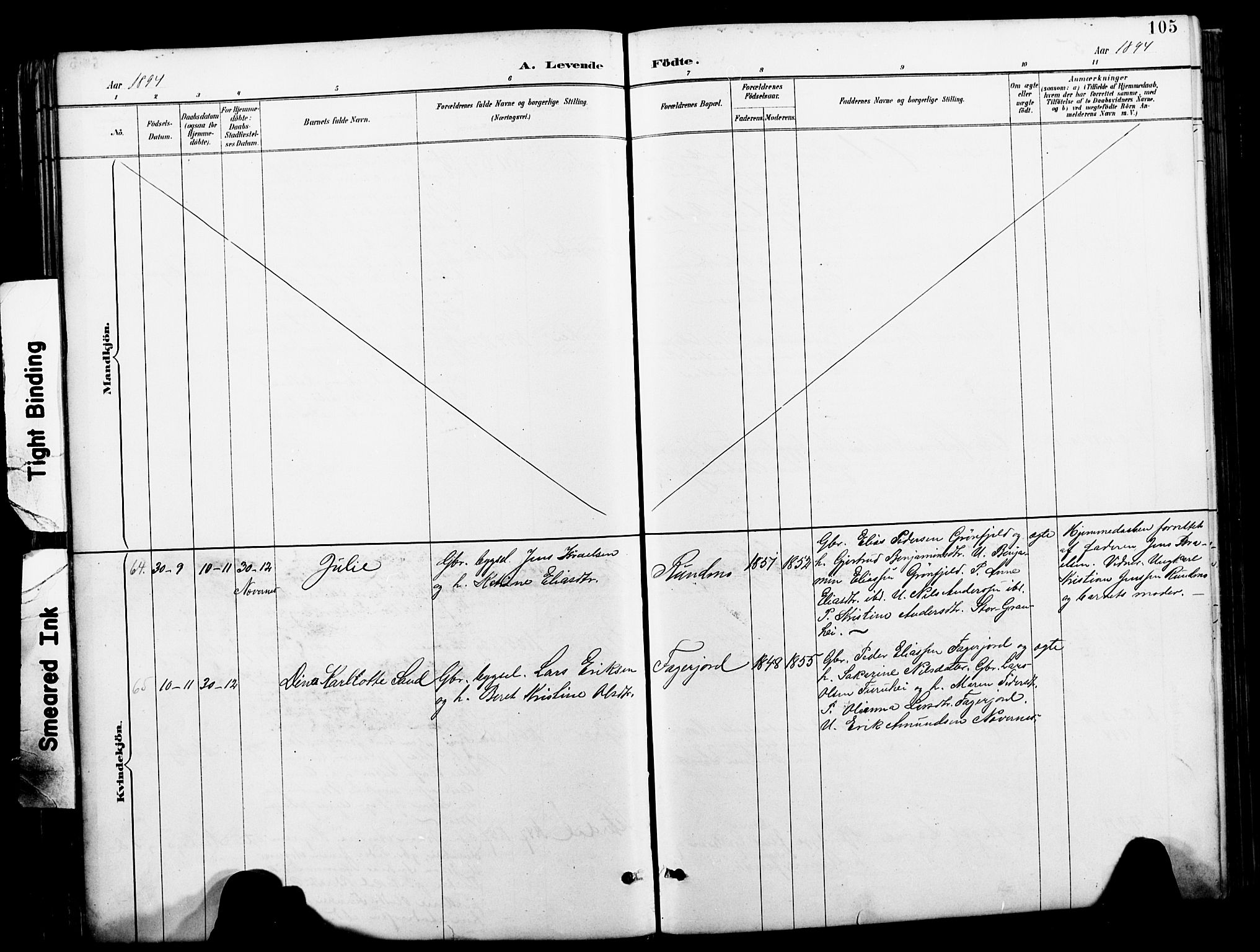 Ministerialprotokoller, klokkerbøker og fødselsregistre - Nordland, AV/SAT-A-1459/827/L0421: Parish register (copy) no. 827C10, 1887-1906, p. 105