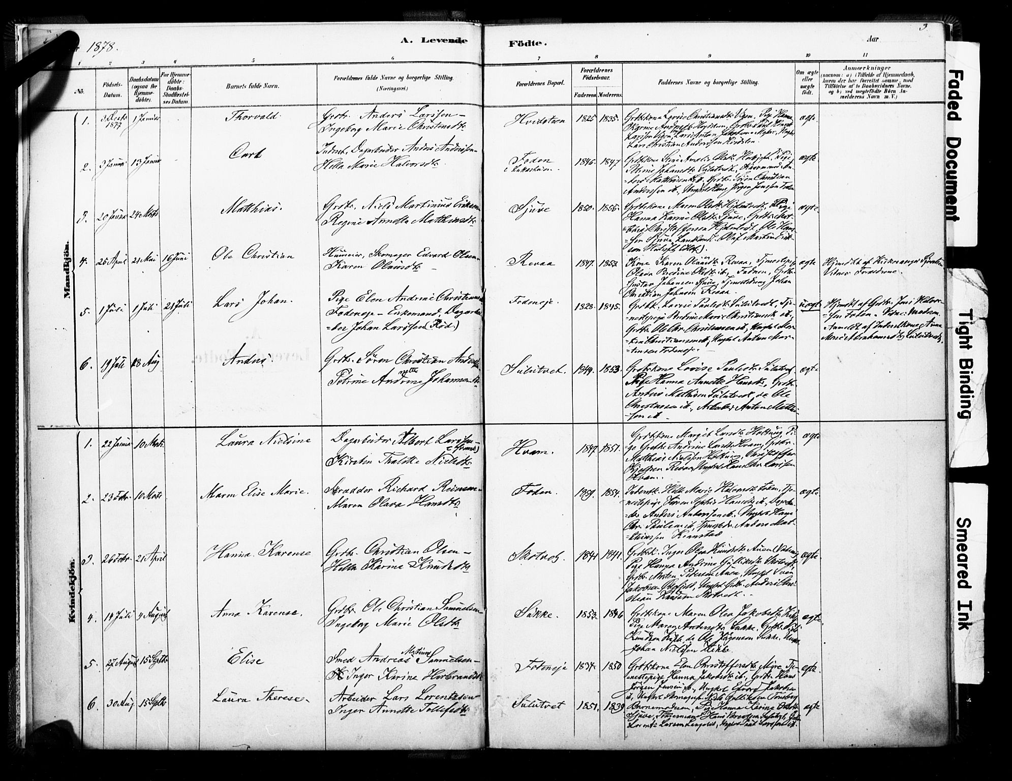 Ramnes kirkebøker, SAKO/A-314/F/Fb/L0001: Parish register (official) no. II 1, 1878-1894, p. 2-3