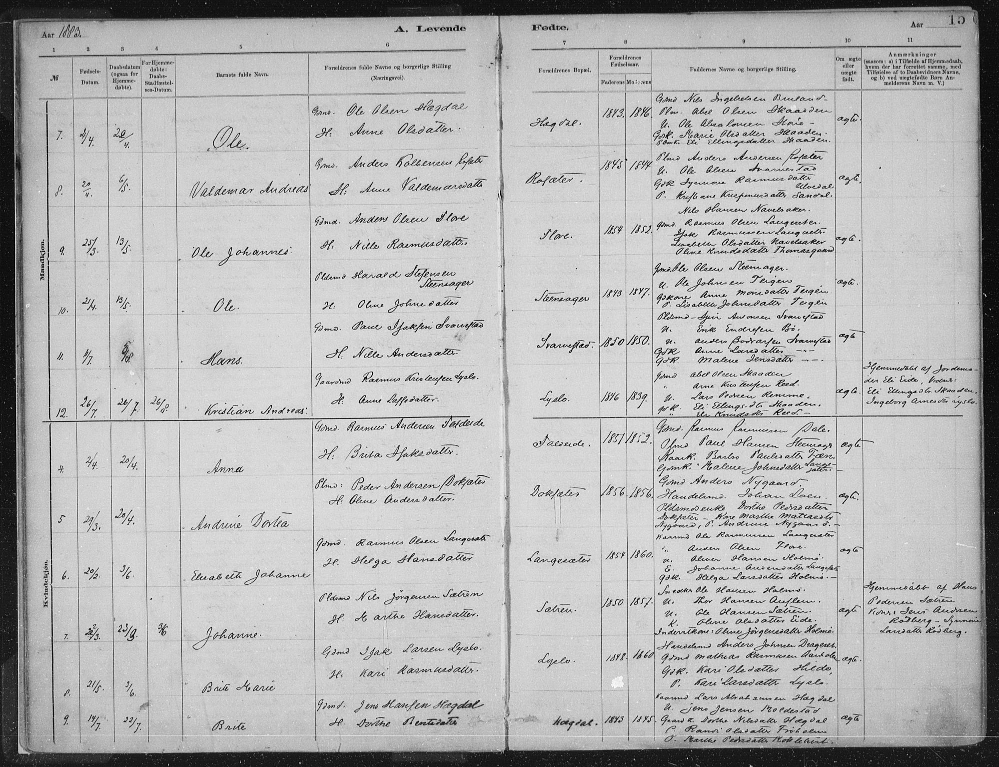 Innvik sokneprestembete, AV/SAB-A-80501: Parish register (official) no. B  1, 1879-1902, p. 15