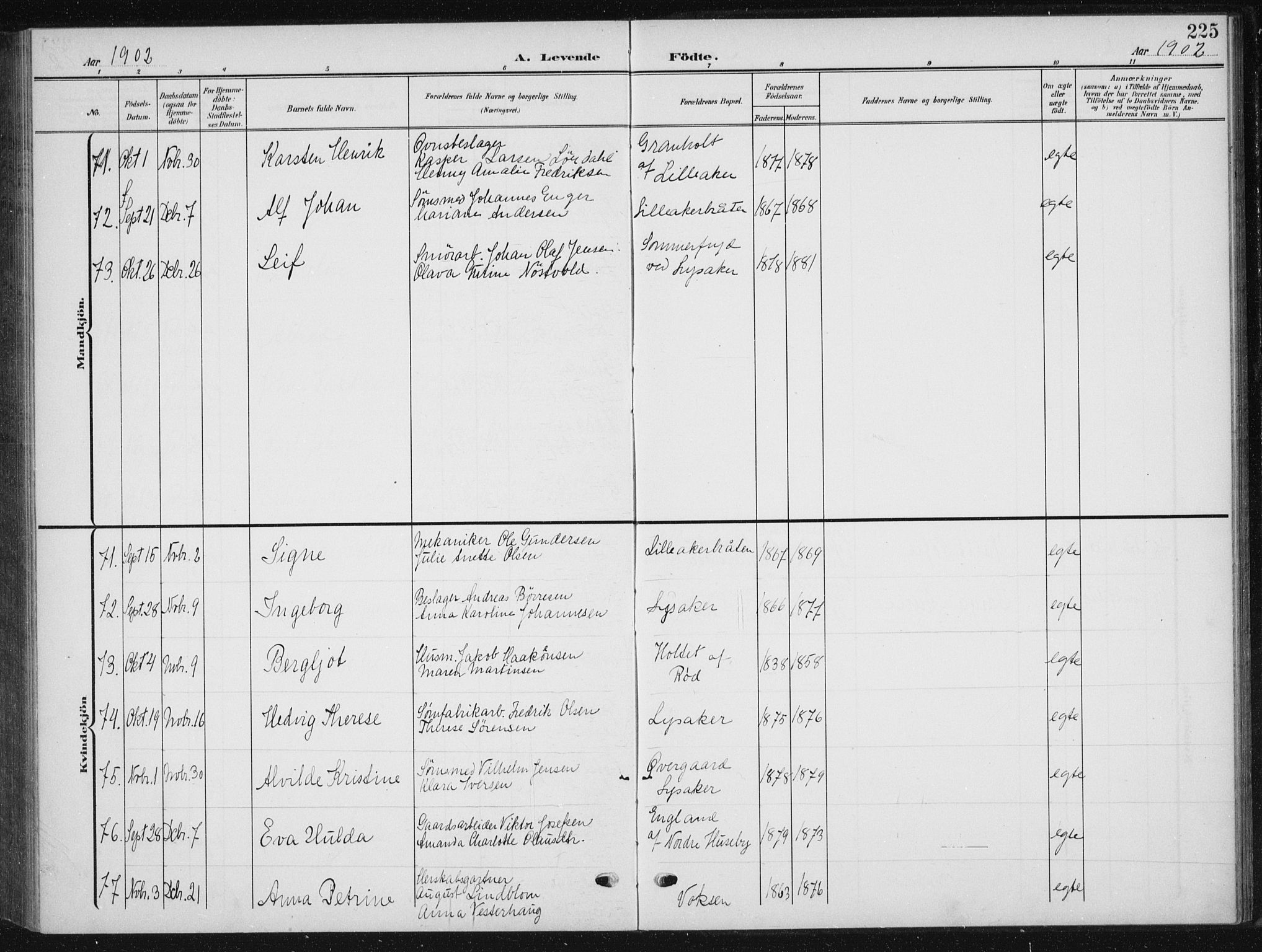 Vestre Aker prestekontor Kirkebøker, AV/SAO-A-10025/F/Fb/L0001: Parish register (official) no. II 1, 1880-1906, p. 225