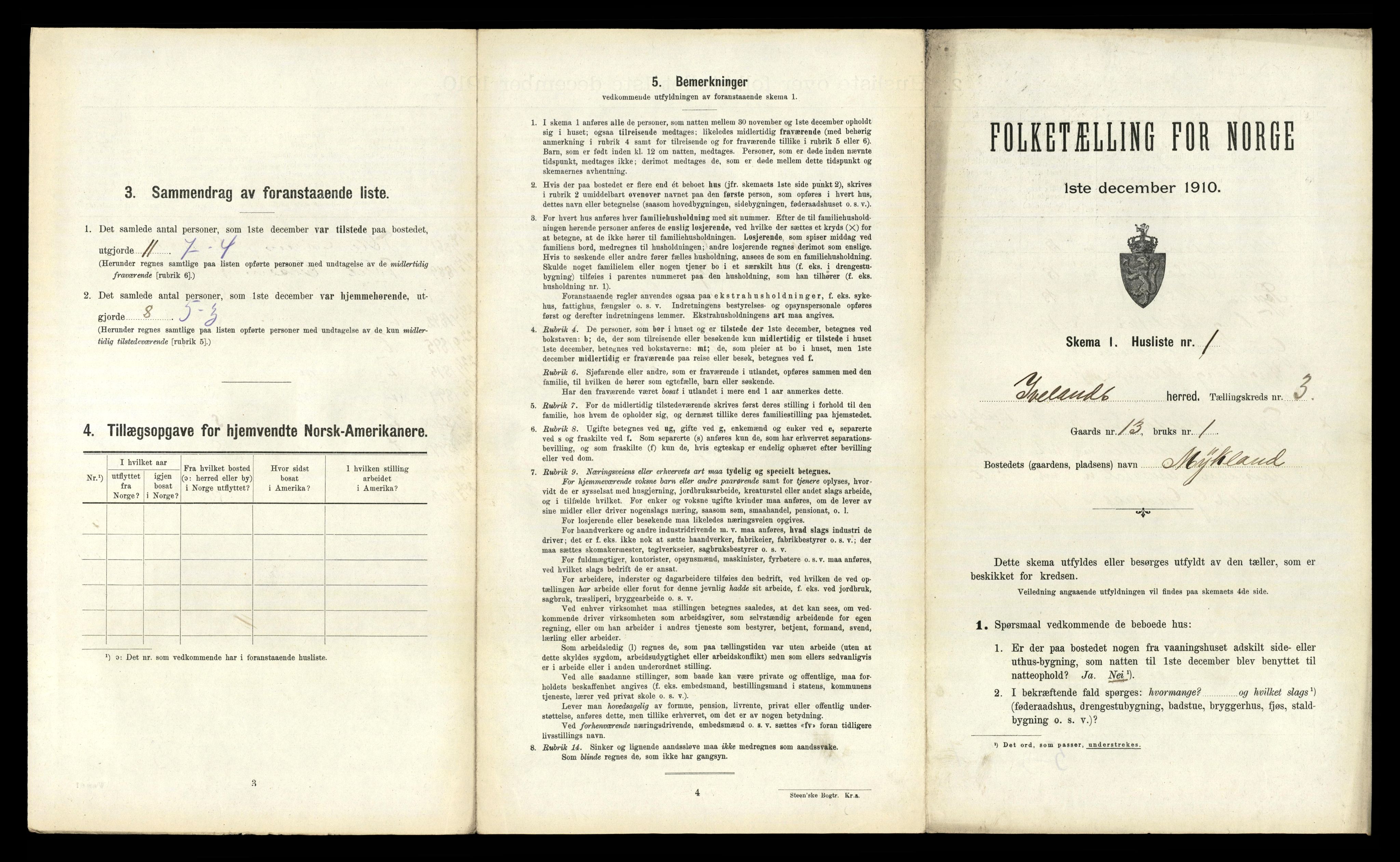 RA, 1910 census for Iveland, 1910, p. 123