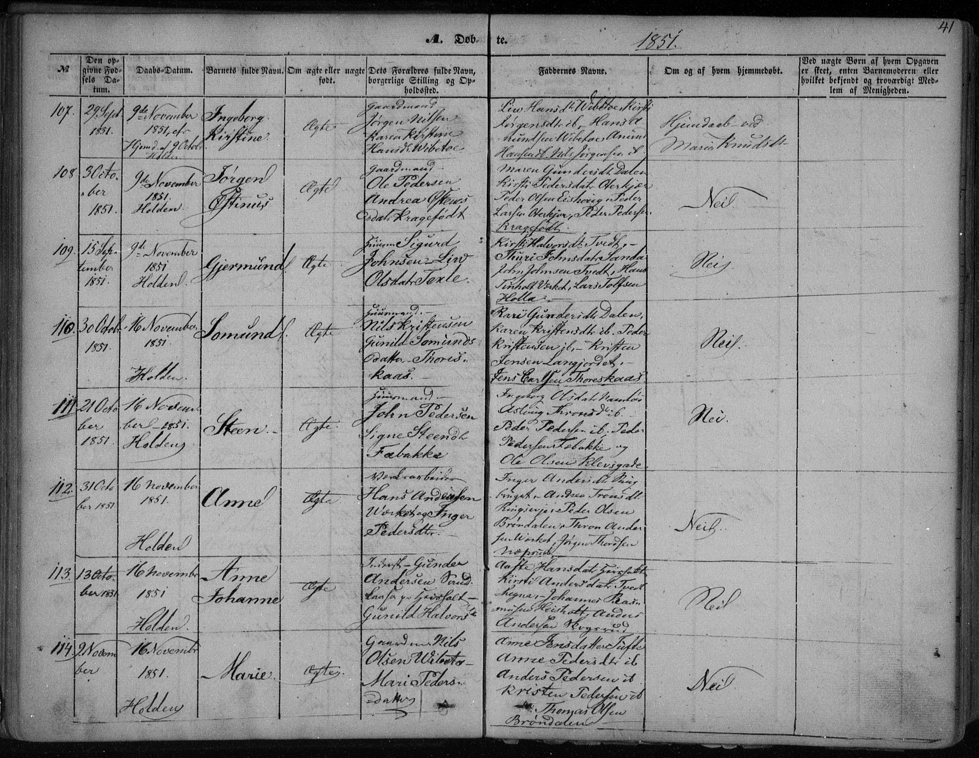 Holla kirkebøker, SAKO/A-272/F/Fa/L0005: Parish register (official) no. 5, 1849-1860, p. 41