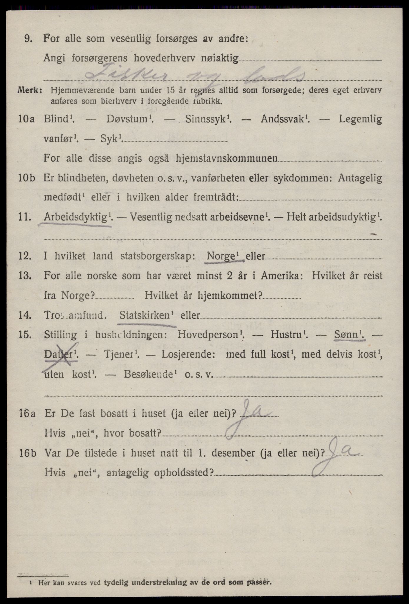 SAT, 1920 census for Hustad, 1920, p. 1516