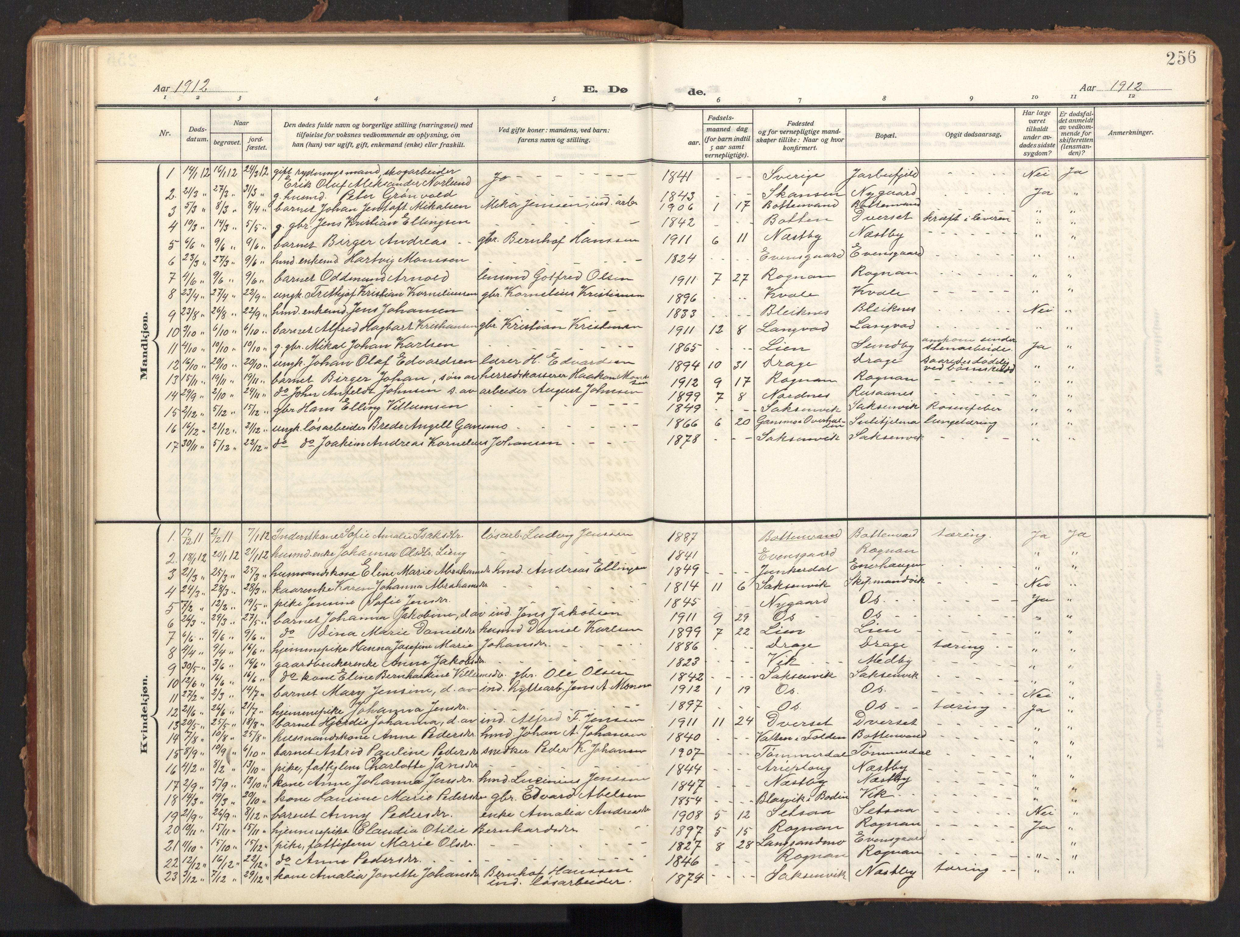 Ministerialprotokoller, klokkerbøker og fødselsregistre - Nordland, SAT/A-1459/847/L0683: Parish register (copy) no. 847C11, 1908-1929, p. 256