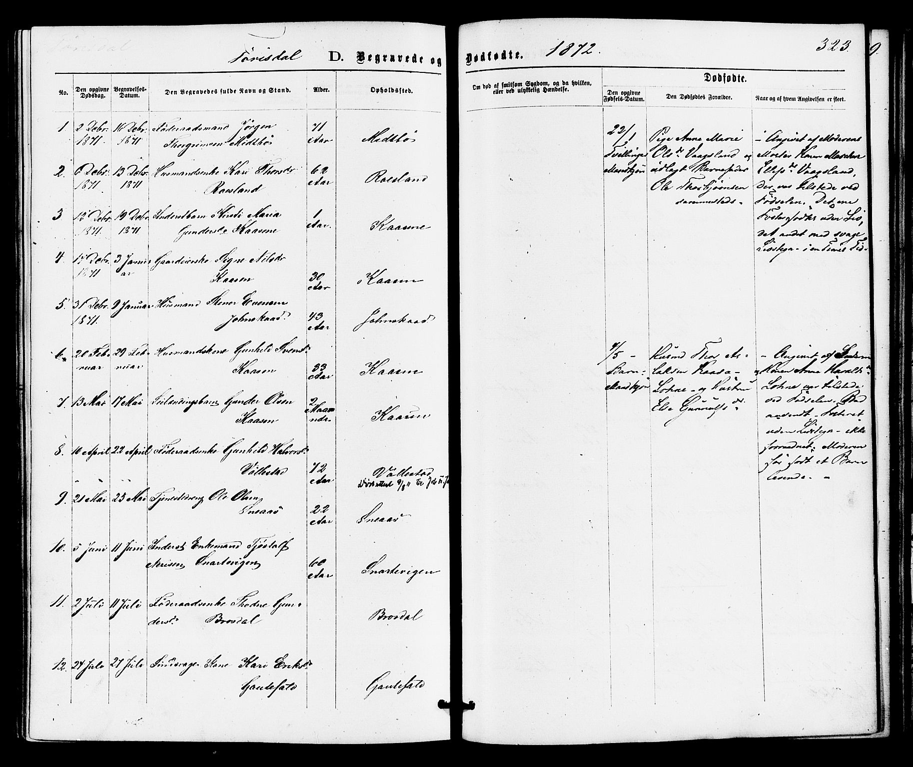 Drangedal kirkebøker, SAKO/A-258/F/Fa/L0009: Parish register (official) no. 9 /2, 1872-1884, p. 323