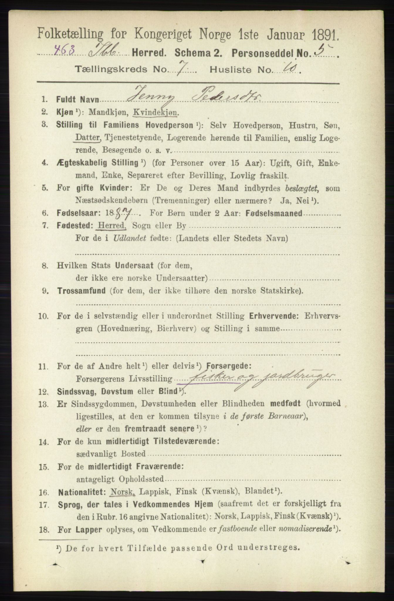 RA, 1891 census for 1917 Ibestad, 1891, p. 4243