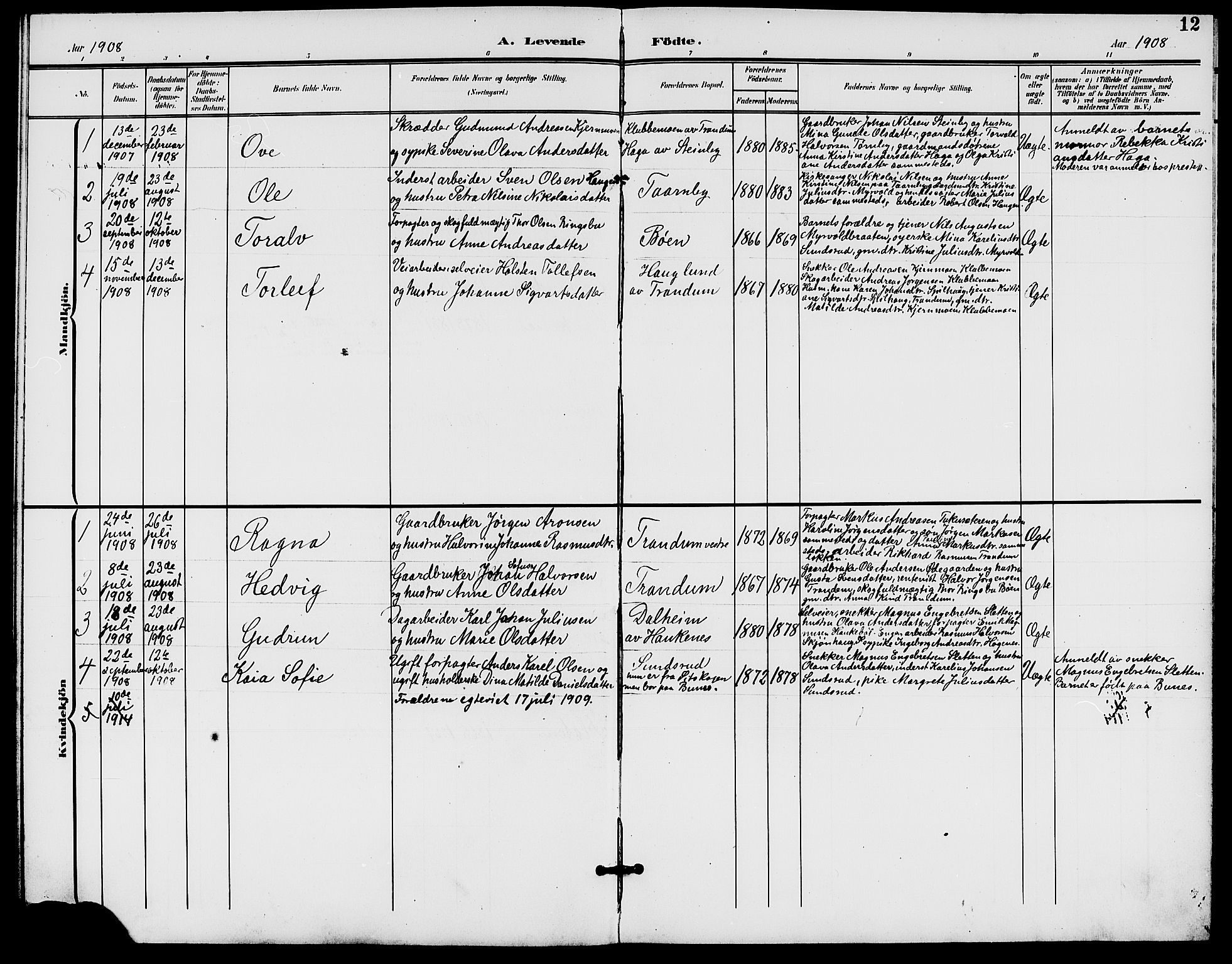 Rødenes prestekontor Kirkebøker, AV/SAO-A-2005/G/Gb/L0001: Parish register (copy) no. II 1, 1901-1910, p. 12