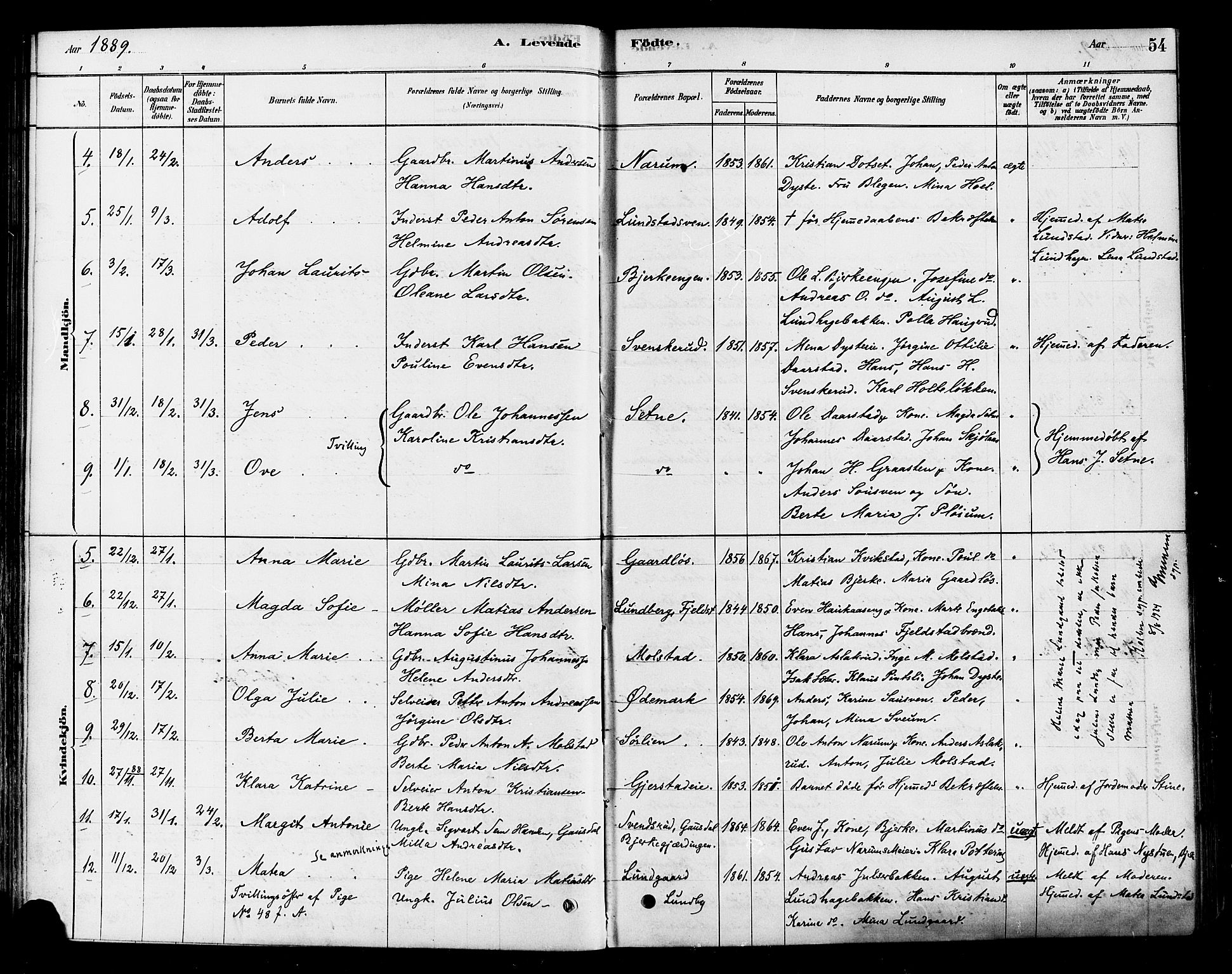 Vestre Toten prestekontor, SAH/PREST-108/H/Ha/Haa/L0010: Parish register (official) no. 10, 1878-1894, p. 54