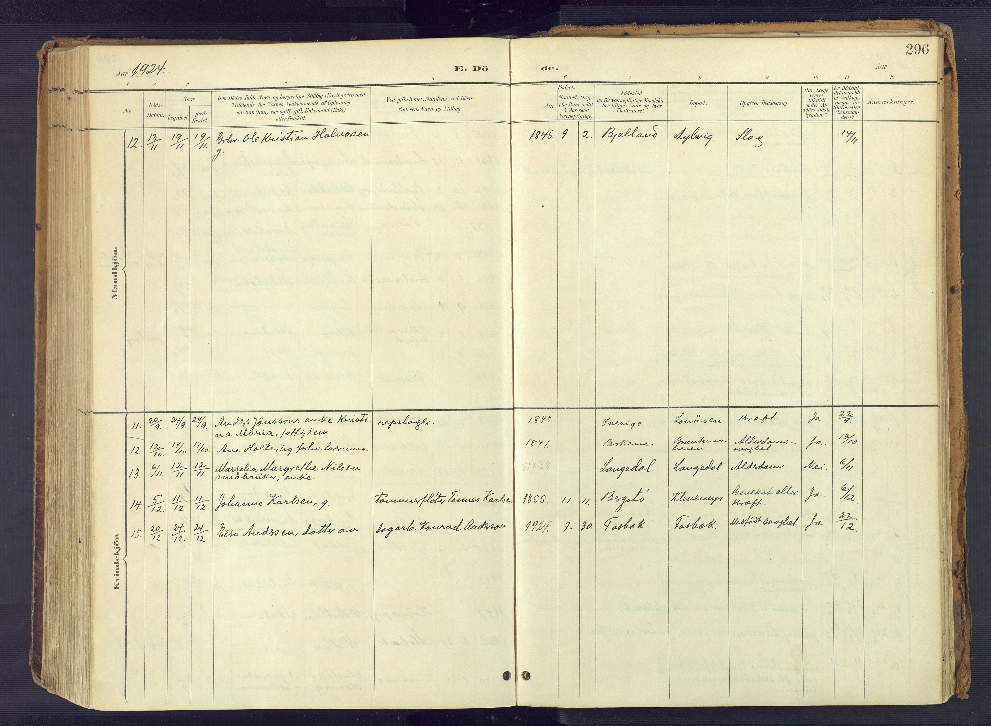 Vestre Moland sokneprestkontor, SAK/1111-0046/F/Fa/Fab/L0010: Parish register (official) no. A 10, 1900-1926, p. 296