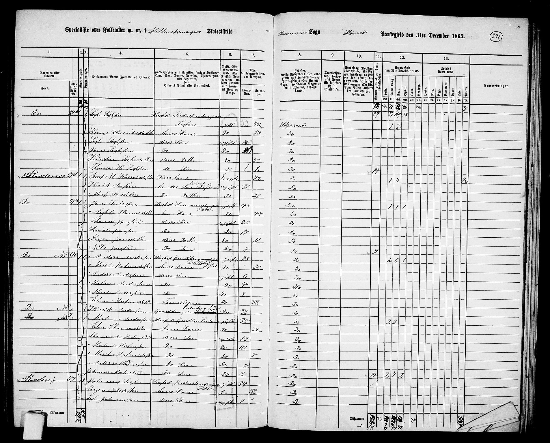 RA, 1865 census for Skjervøy, 1865, p. 165