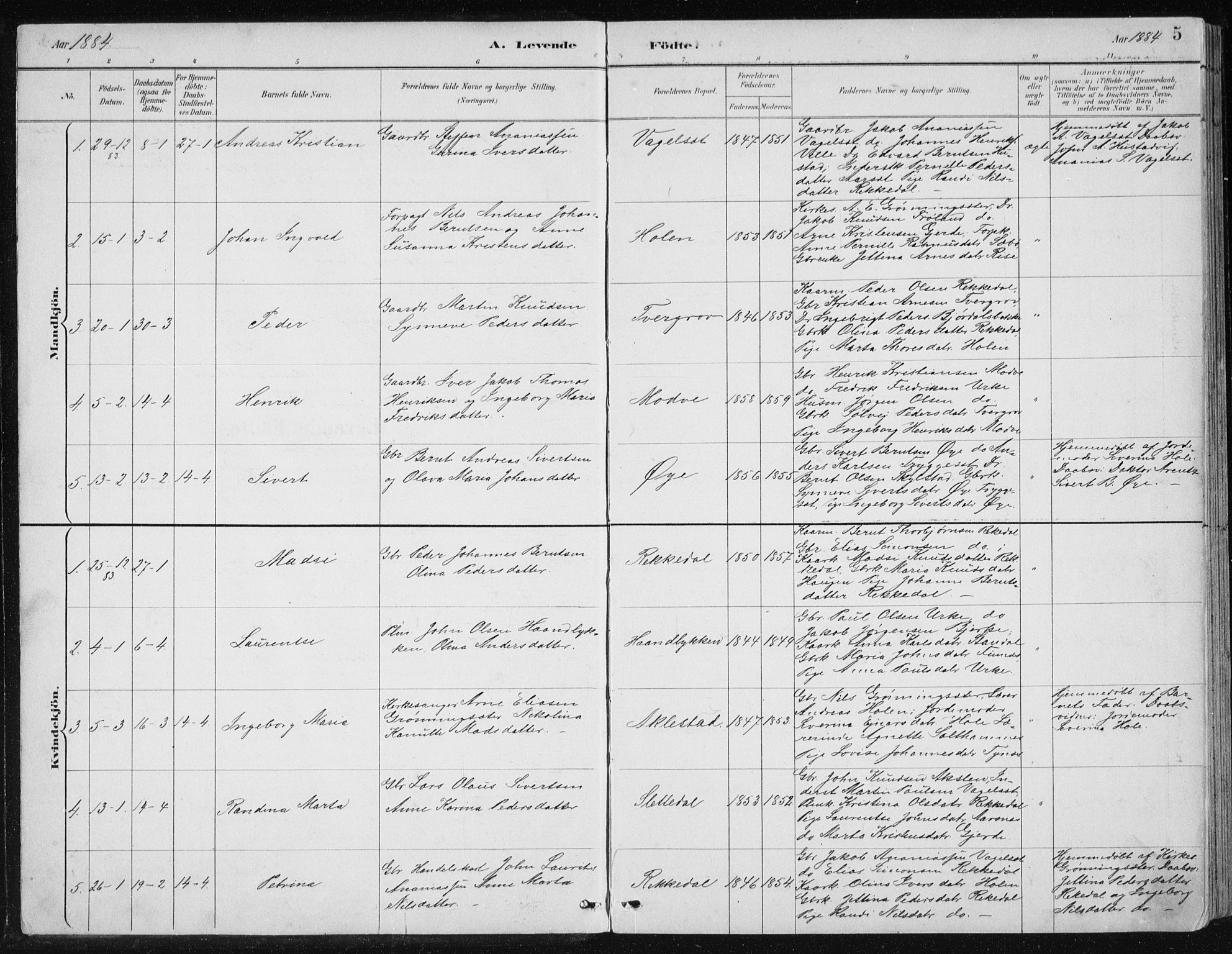 Ministerialprotokoller, klokkerbøker og fødselsregistre - Møre og Romsdal, AV/SAT-A-1454/515/L0215: Parish register (copy) no. 515C02, 1884-1906, p. 5