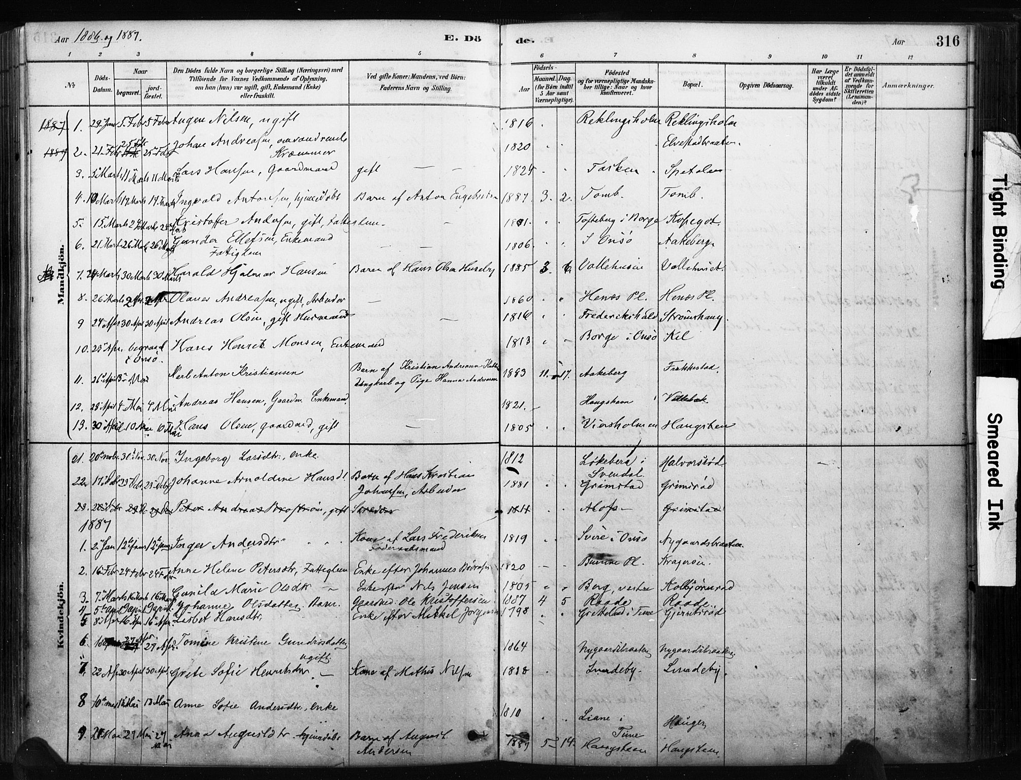 Råde prestekontor kirkebøker, AV/SAO-A-2009/F/Fa/L0007: Parish register (official) no. 7, 1878-1902, p. 316