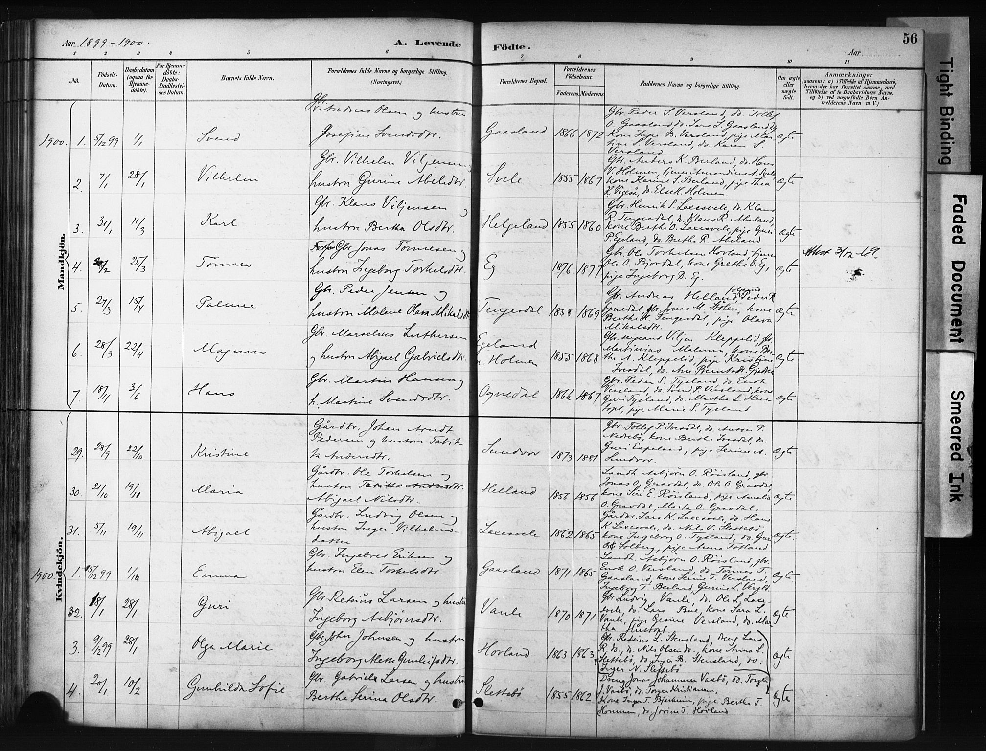 Helleland sokneprestkontor, AV/SAST-A-101810: Parish register (official) no. A 9, 1887-1908, p. 56