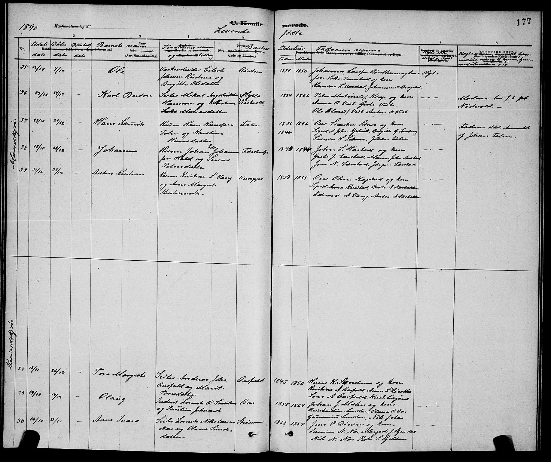 Ministerialprotokoller, klokkerbøker og fødselsregistre - Nord-Trøndelag, AV/SAT-A-1458/730/L0301: Parish register (copy) no. 730C04, 1880-1897, p. 177