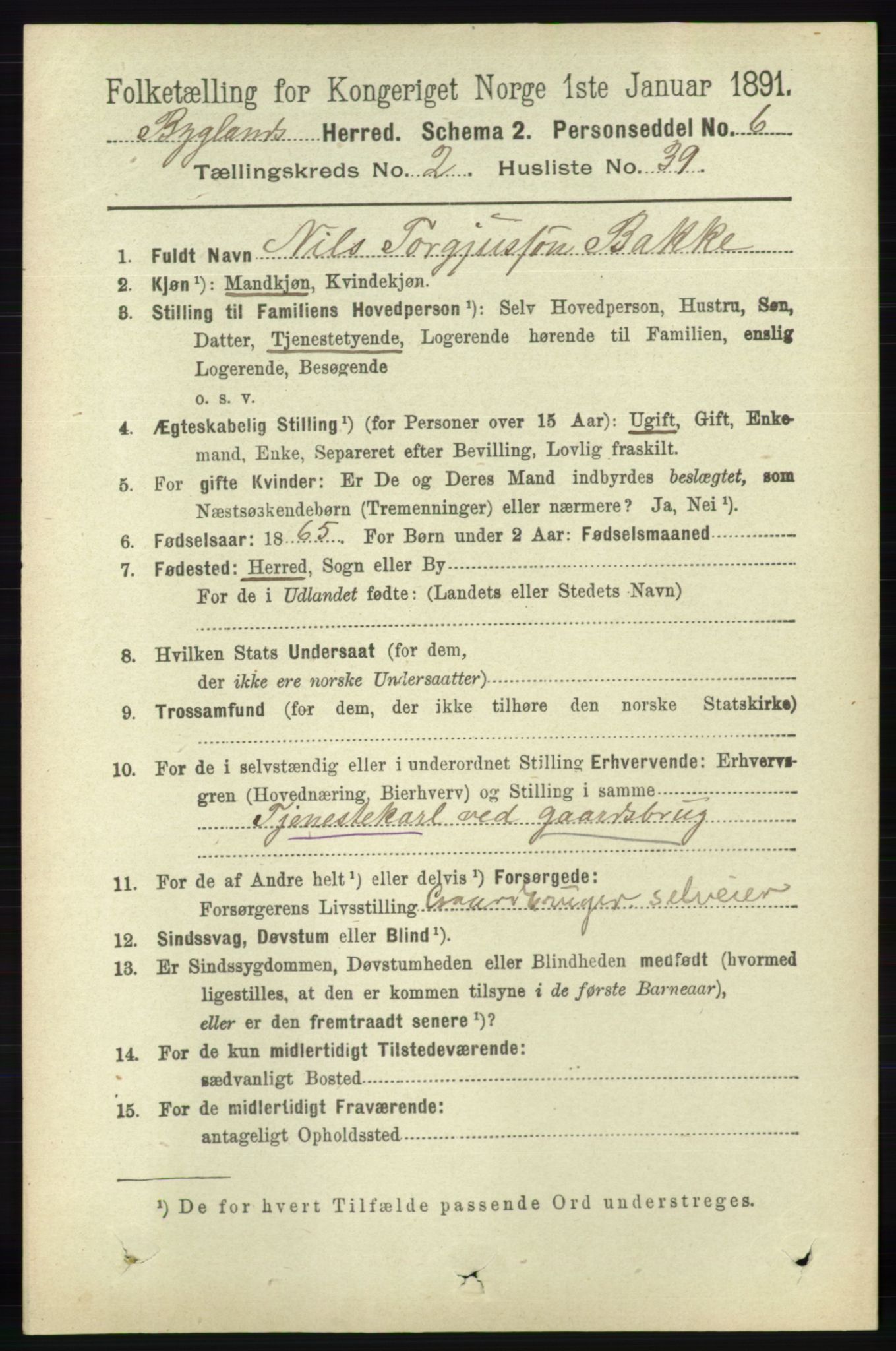 RA, 1891 census for 0938 Bygland, 1891, p. 520