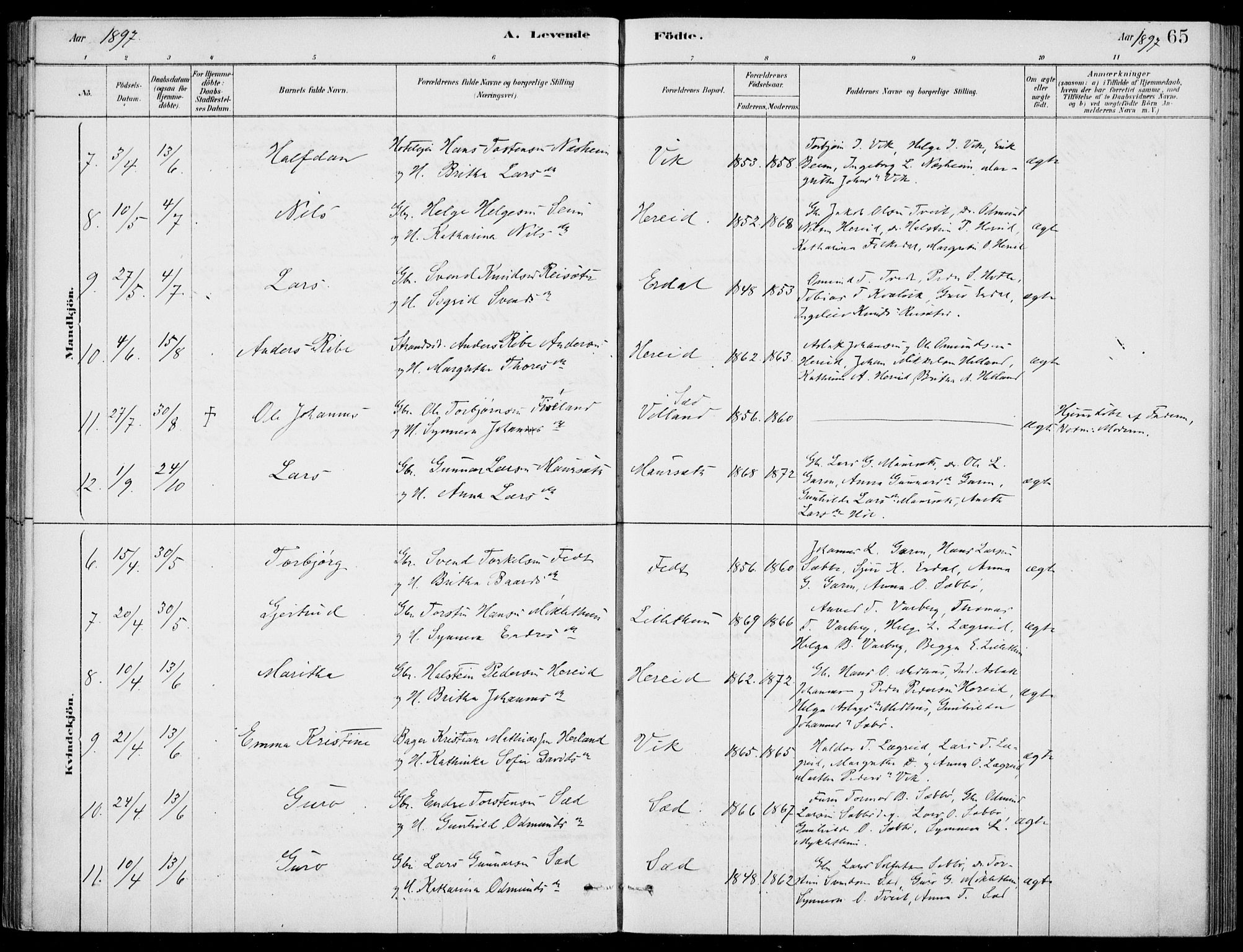 Ulvik sokneprestembete, AV/SAB-A-78801/H/Haa: Parish register (official) no. D  1, 1878-1903, p. 65