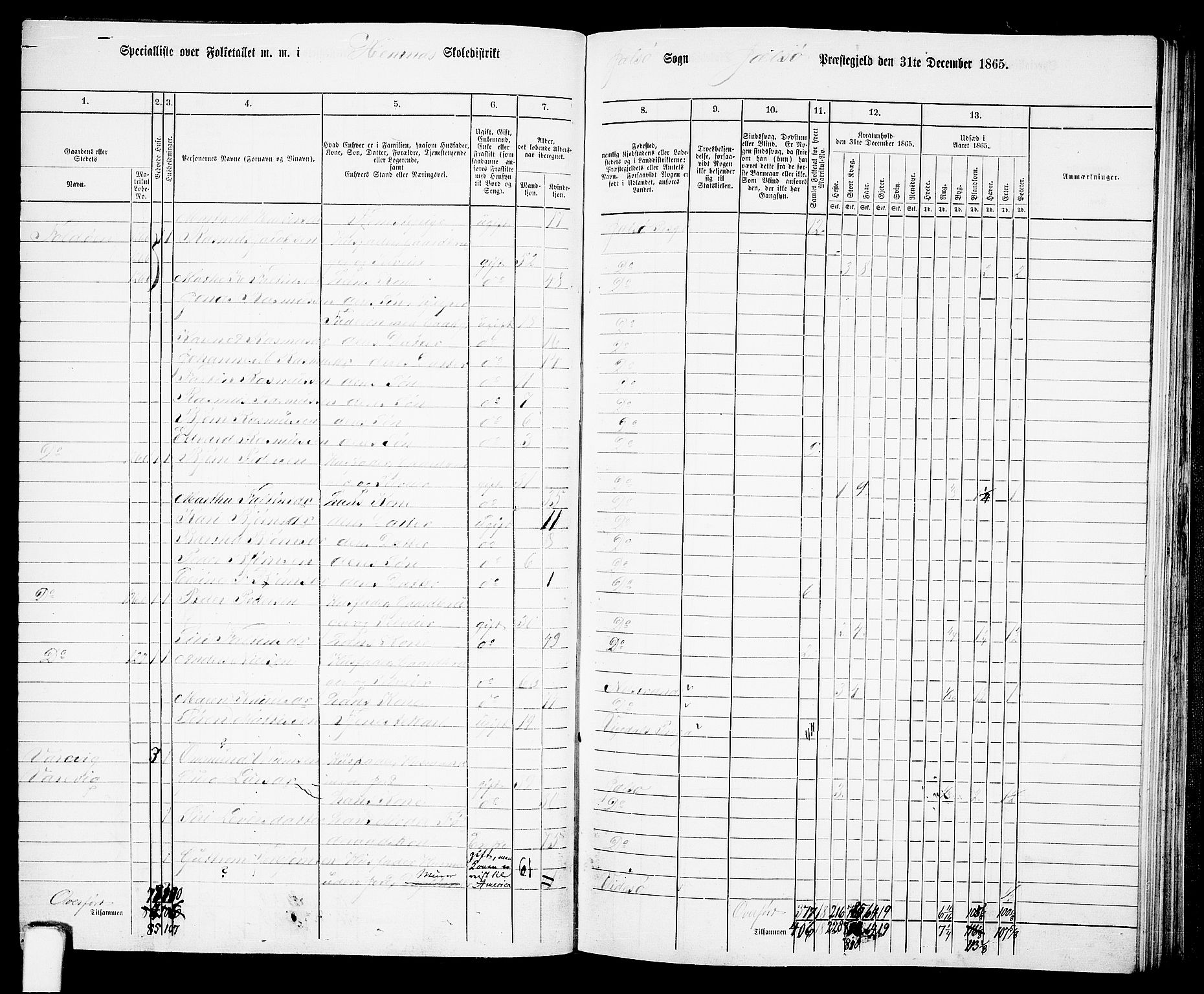 RA, 1865 census for Jelsa, 1865, p. 60