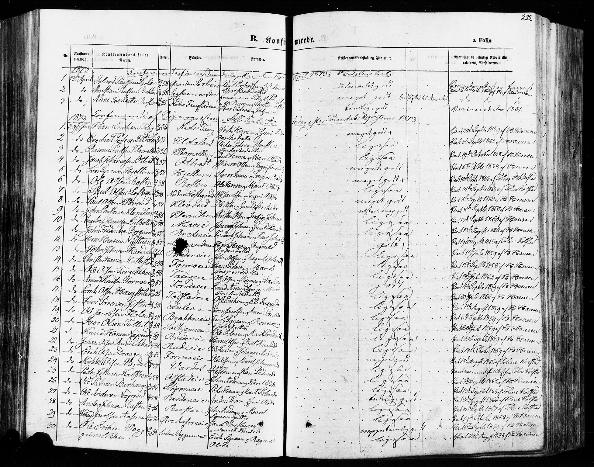 Vågå prestekontor, SAH/PREST-076/H/Ha/Haa/L0007: Parish register (official) no. 7 /1, 1872-1886, p. 222