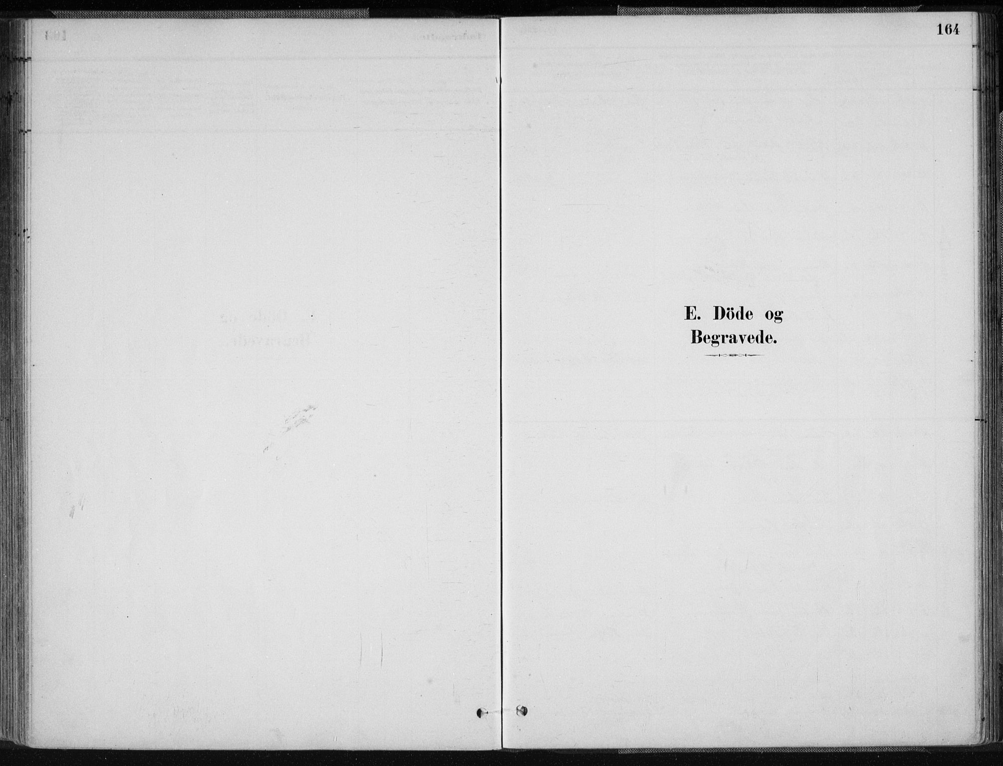 Sør-Audnedal sokneprestkontor, SAK/1111-0039/F/Fa/Fab/L0009: Parish register (official) no. A 9, 1880-1895, p. 164