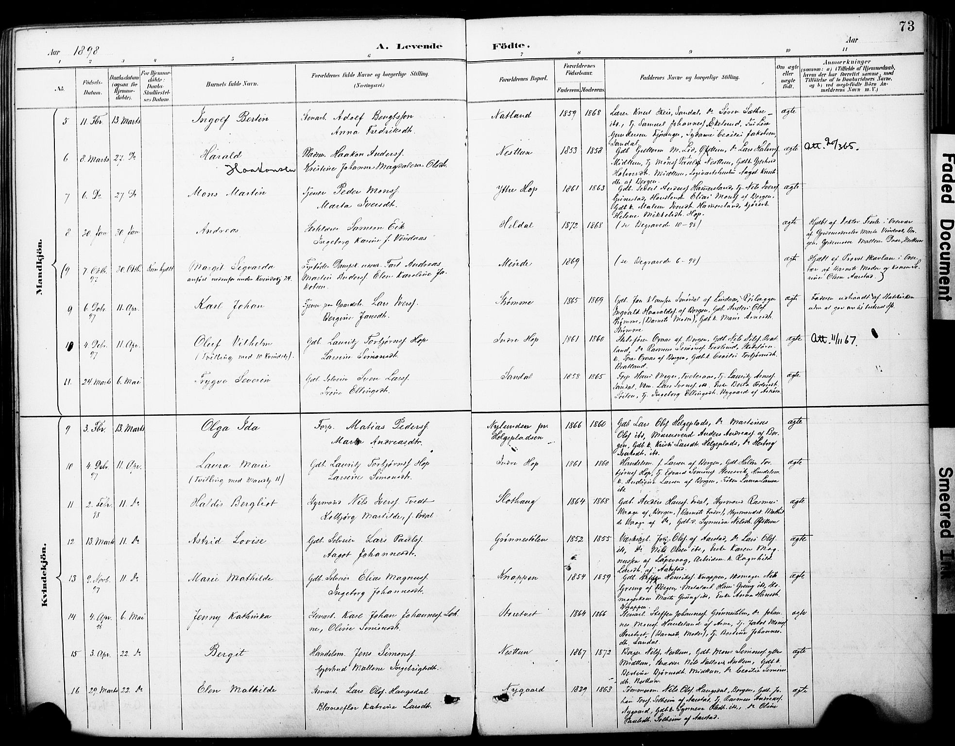 Fana Sokneprestembete, AV/SAB-A-75101/H/Haa/Haai/L0002: Parish register (official) no. I 2, 1888-1899, p. 73