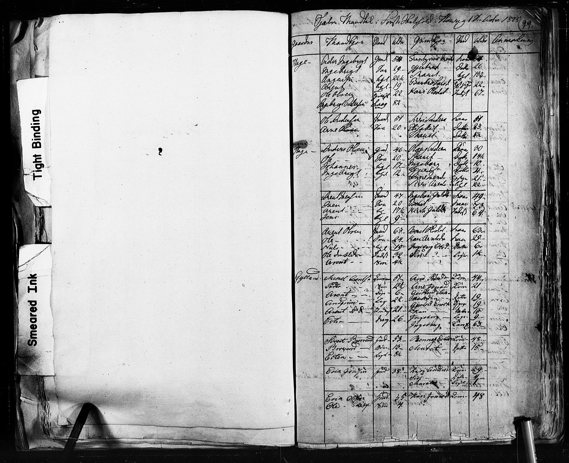 , 1825 Census for Støren parish, 1825, p. 99