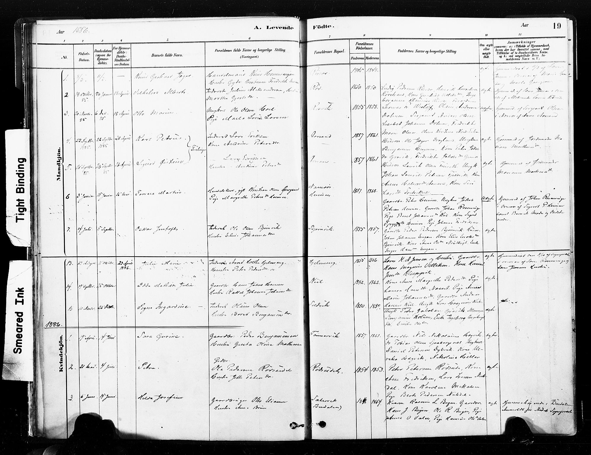 Ministerialprotokoller, klokkerbøker og fødselsregistre - Nord-Trøndelag, SAT/A-1458/789/L0705: Parish register (official) no. 789A01, 1878-1910, p. 19