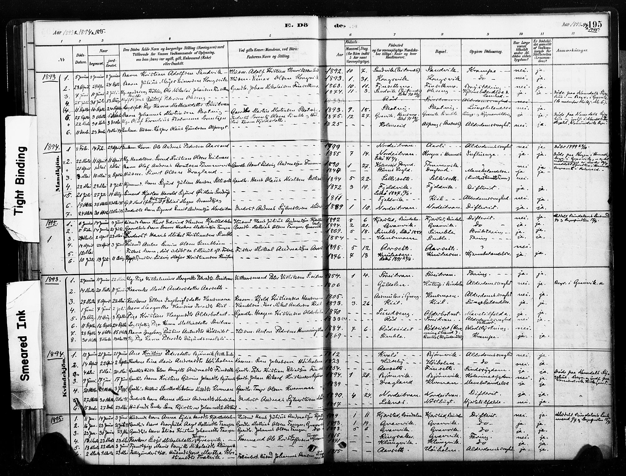 Ministerialprotokoller, klokkerbøker og fødselsregistre - Nord-Trøndelag, SAT/A-1458/789/L0705: Parish register (official) no. 789A01, 1878-1910, p. 195