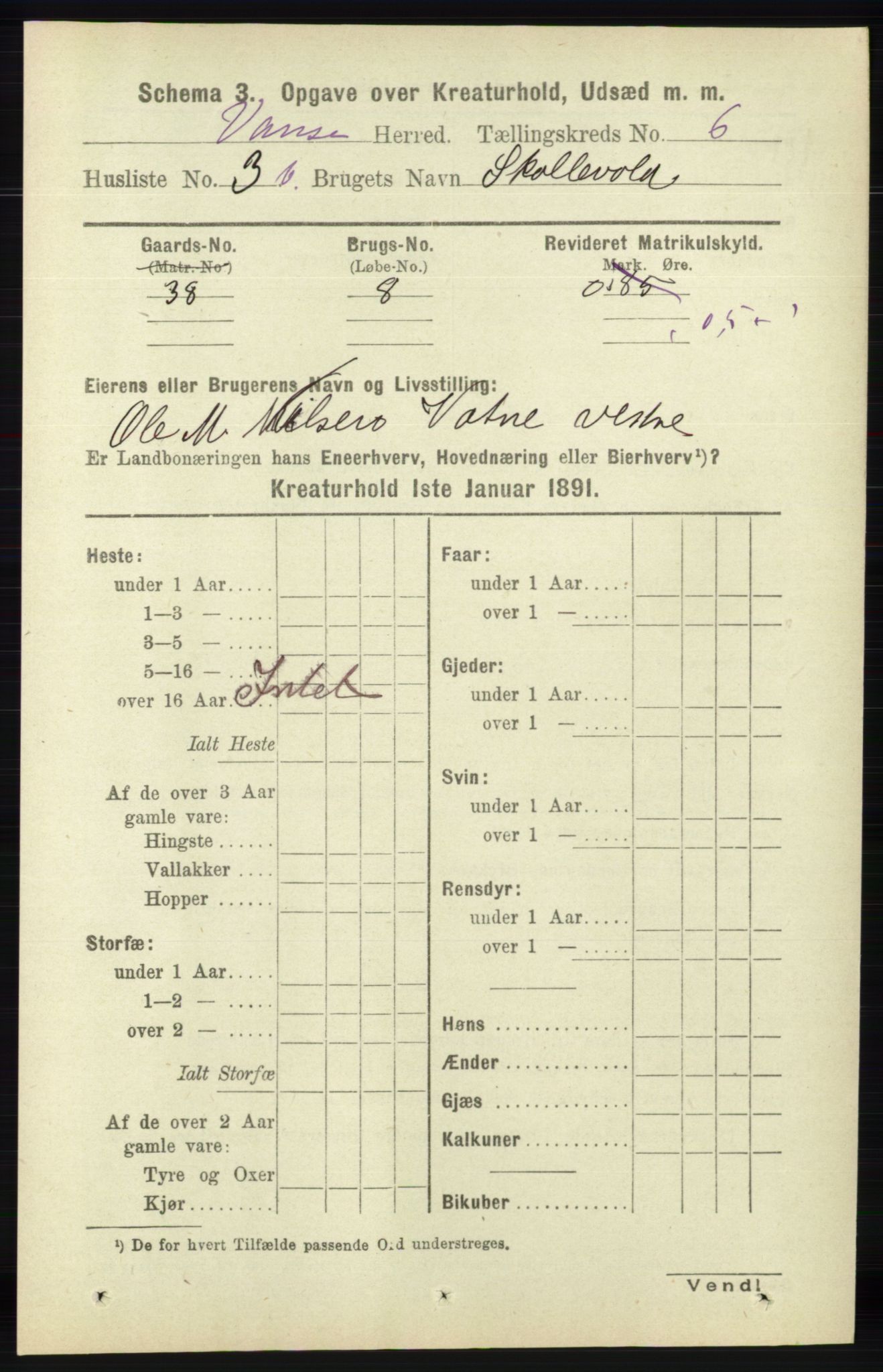 RA, 1891 census for 1041 Vanse, 1891, p. 8969