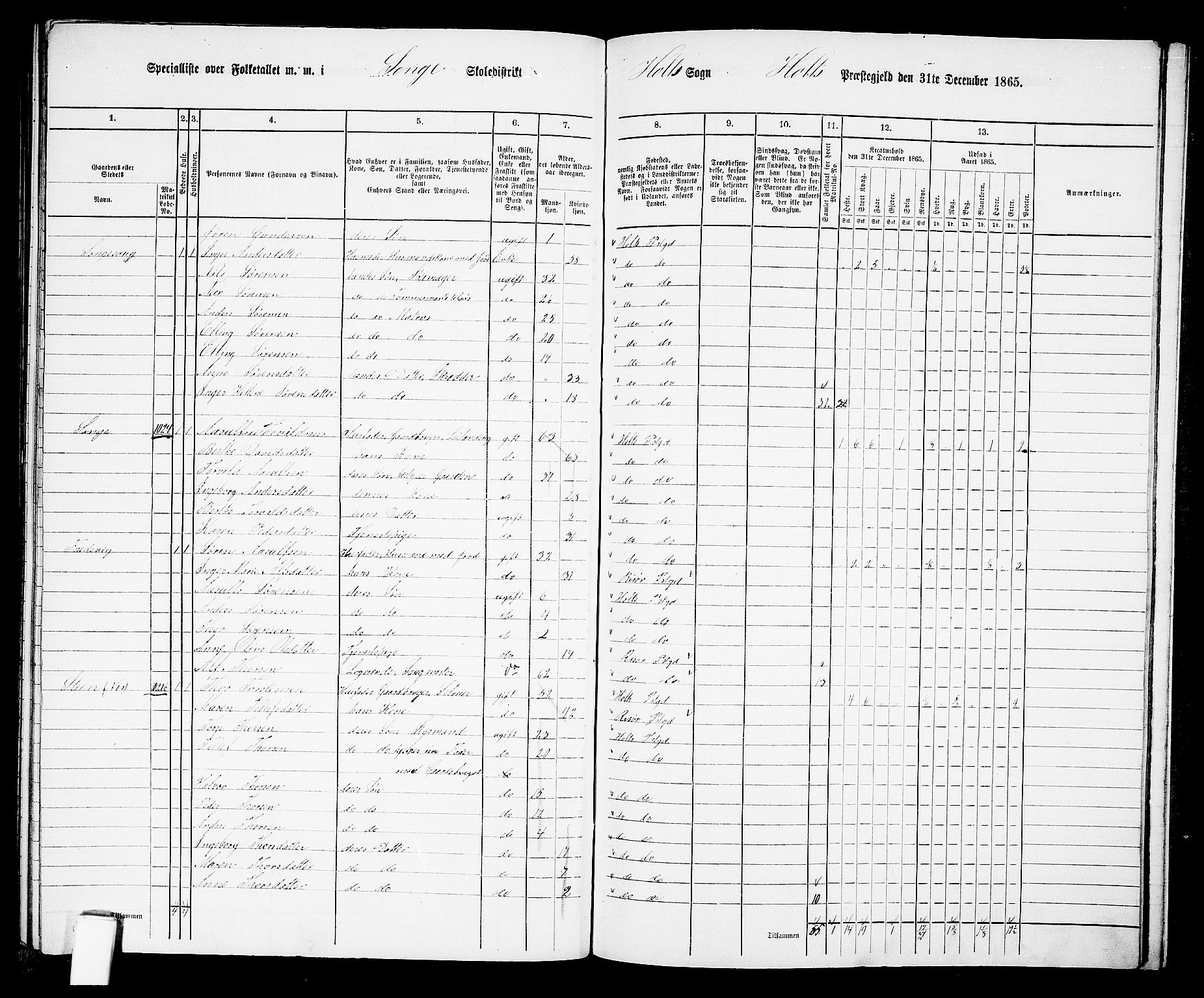 RA, 1865 census for Holt/Holt, 1865, p. 168