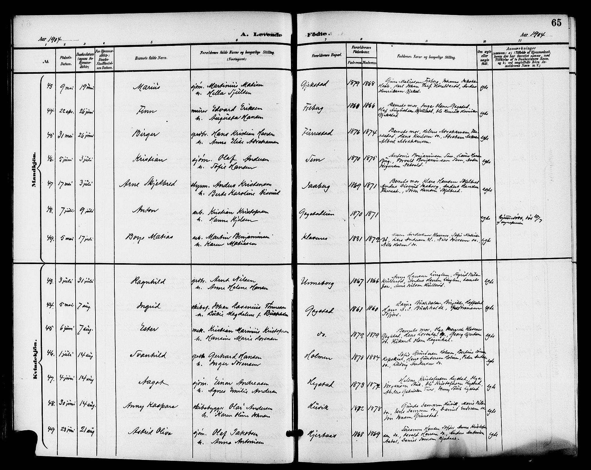 Sandar kirkebøker, AV/SAKO-A-243/G/Ga/L0002: Parish register (copy) no. 2, 1900-1915, p. 65