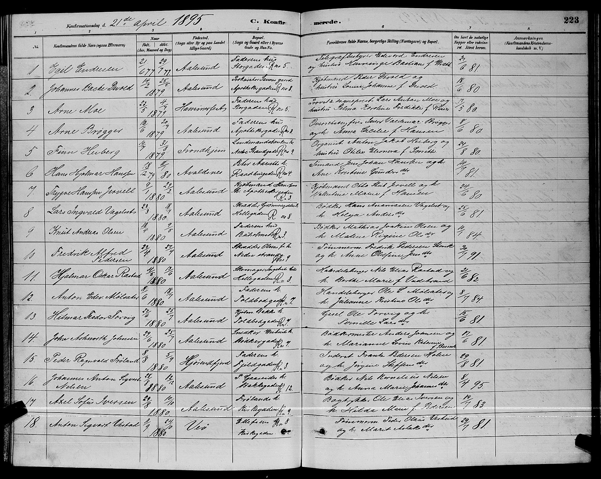 Ministerialprotokoller, klokkerbøker og fødselsregistre - Møre og Romsdal, AV/SAT-A-1454/529/L0467: Parish register (copy) no. 529C04, 1889-1897, p. 223