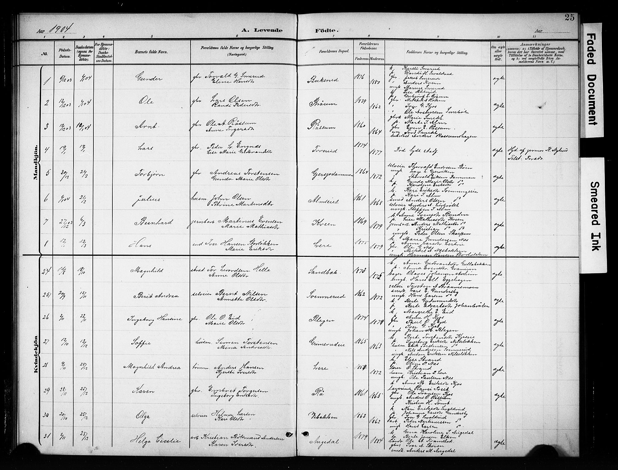 Brandbu prestekontor, SAH/PREST-114/H/Ha/Hab/L0005: Parish register (copy) no. 5, 1900-1913, p. 25