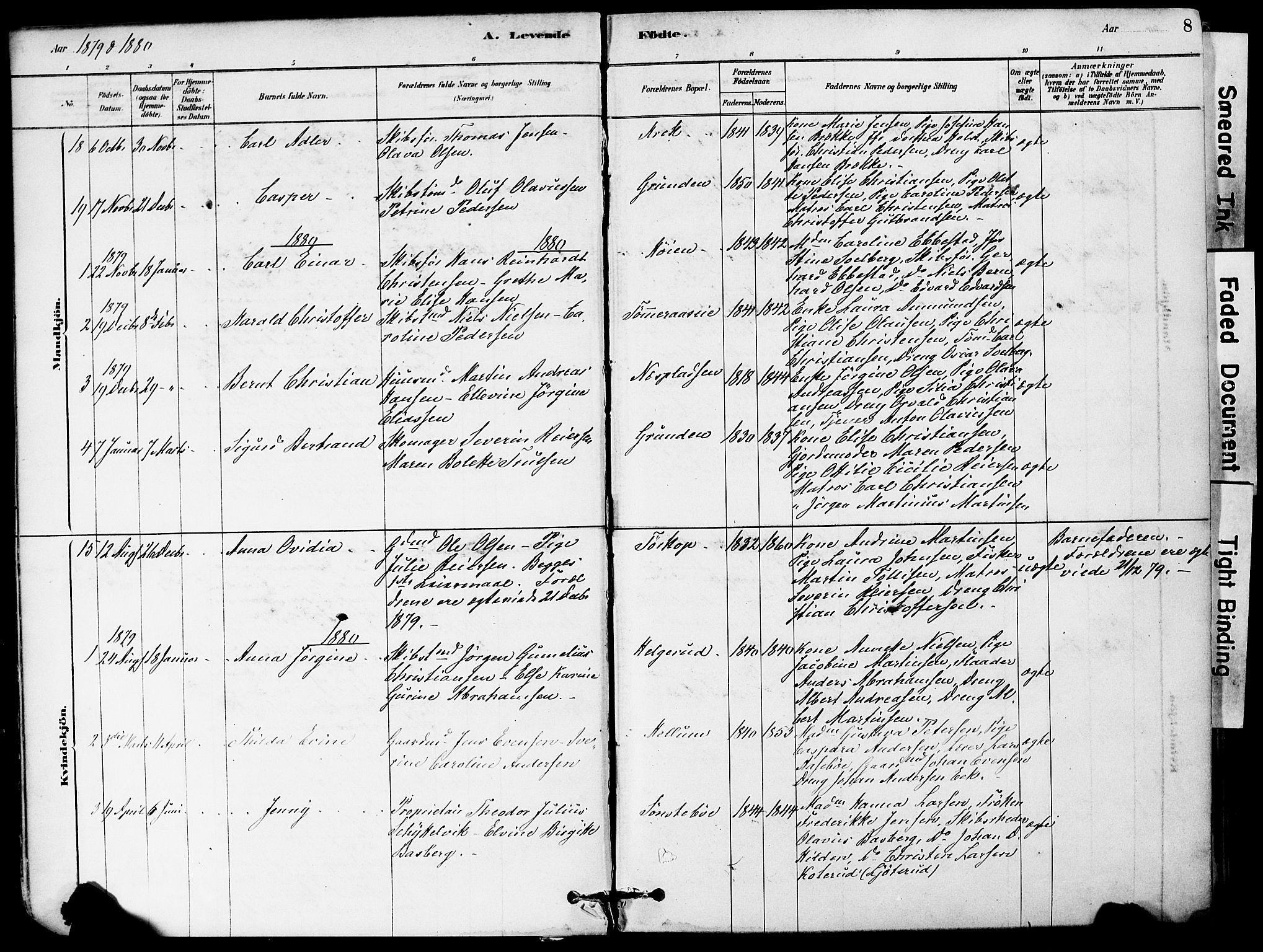 Strømm kirkebøker, AV/SAKO-A-322/F/Fa/L0004: Parish register (official) no. I 4, 1878-1899, p. 8