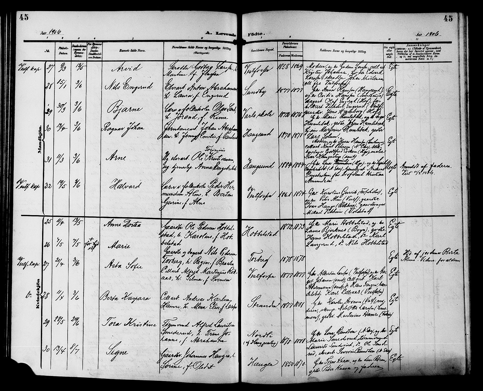 Eiker kirkebøker, SAKO/A-4/G/Ga/L0008: Parish register (copy) no. I 8, 1903-1914, p. 45