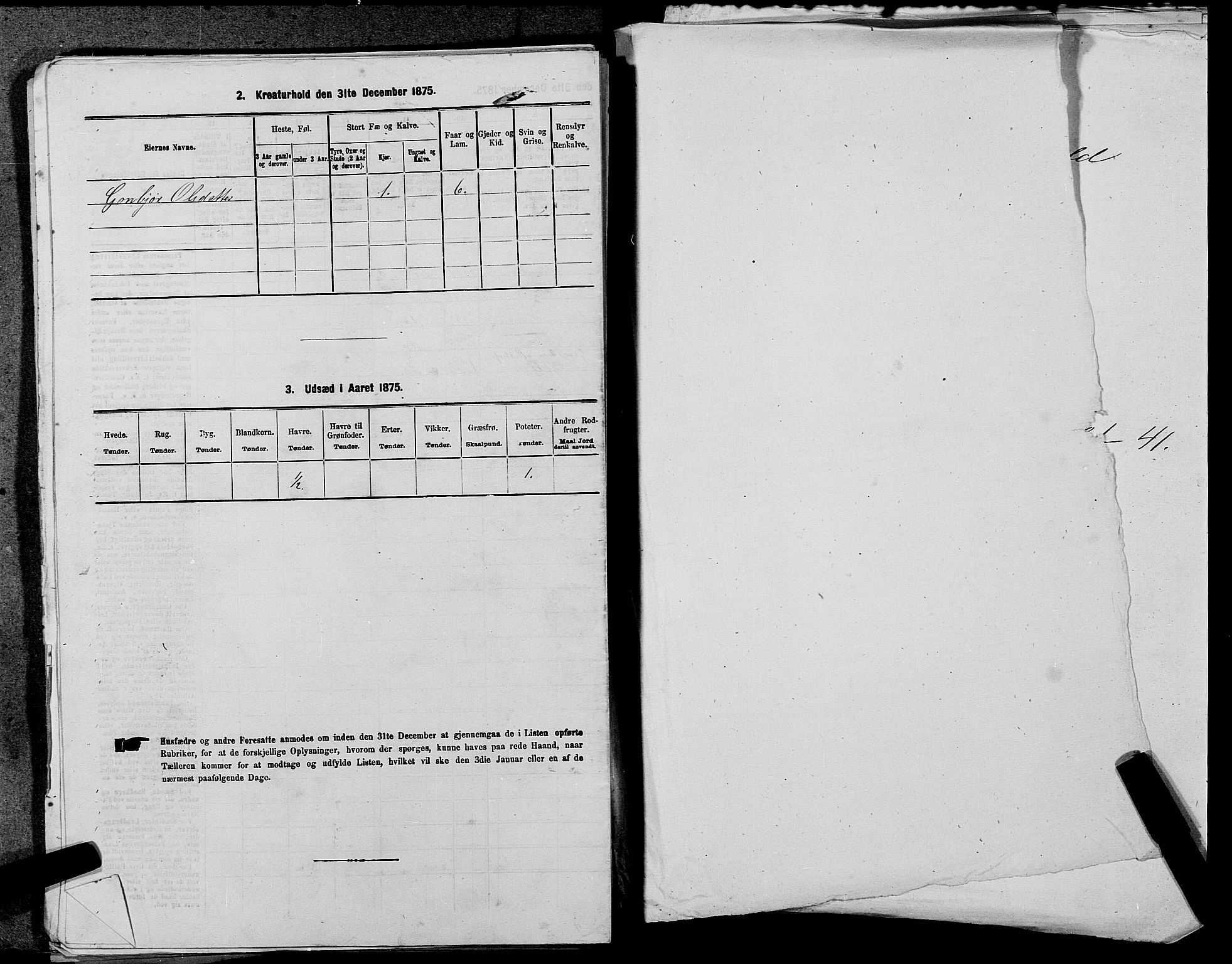 SAST, 1875 census for 1138P Jelsa, 1875, p. 318