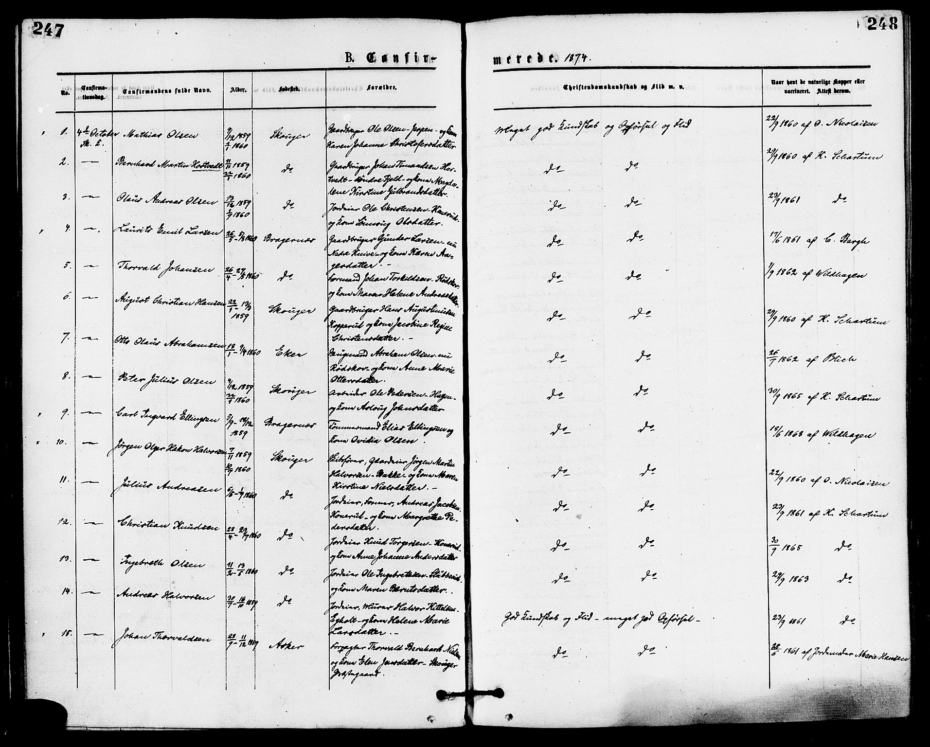 Skoger kirkebøker, SAKO/A-59/F/Fa/L0005: Parish register (official) no. I 5, 1873-1884, p. 247-248