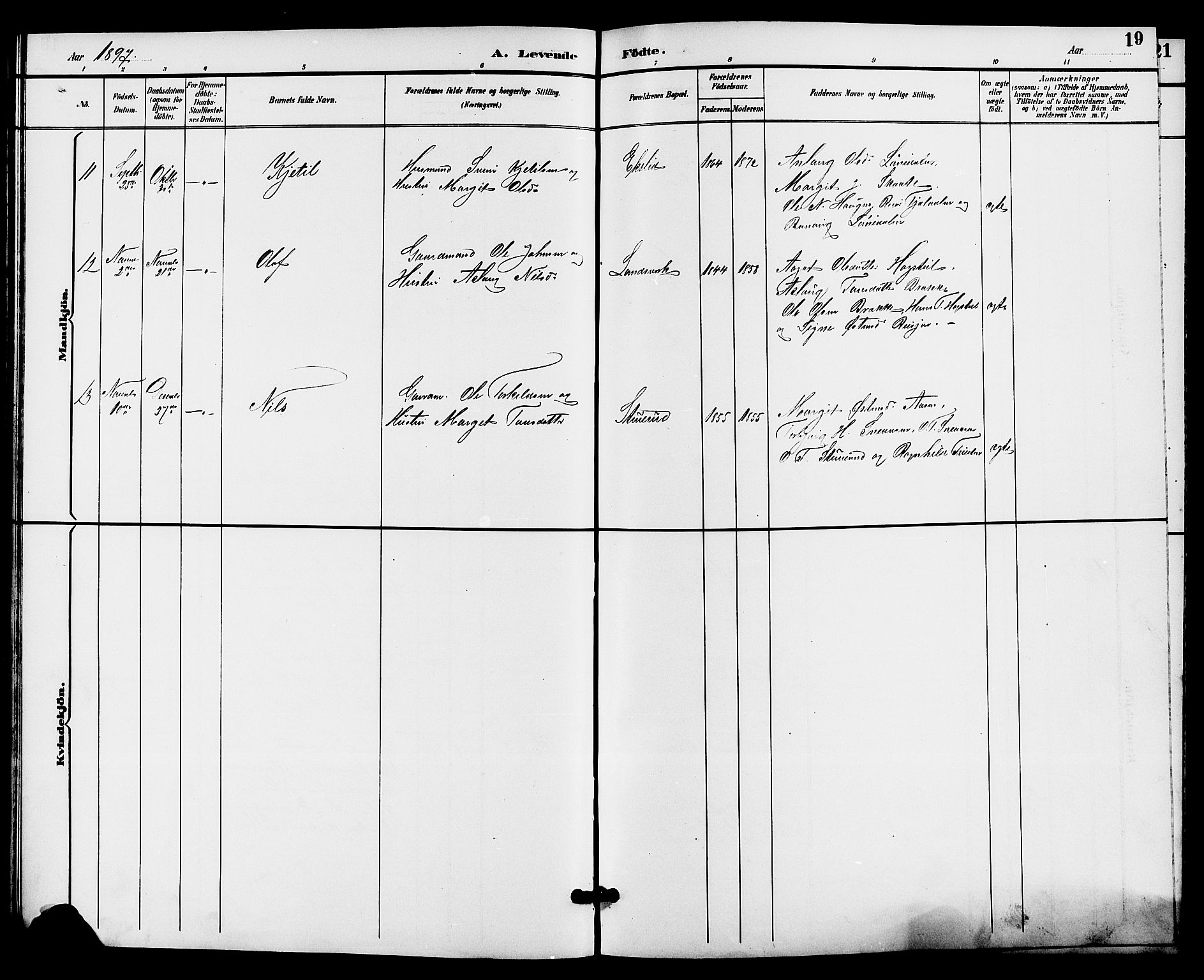 Hjartdal kirkebøker, SAKO/A-270/G/Gc/L0003: Parish register (copy) no. III 3, 1890-1907, p. 19