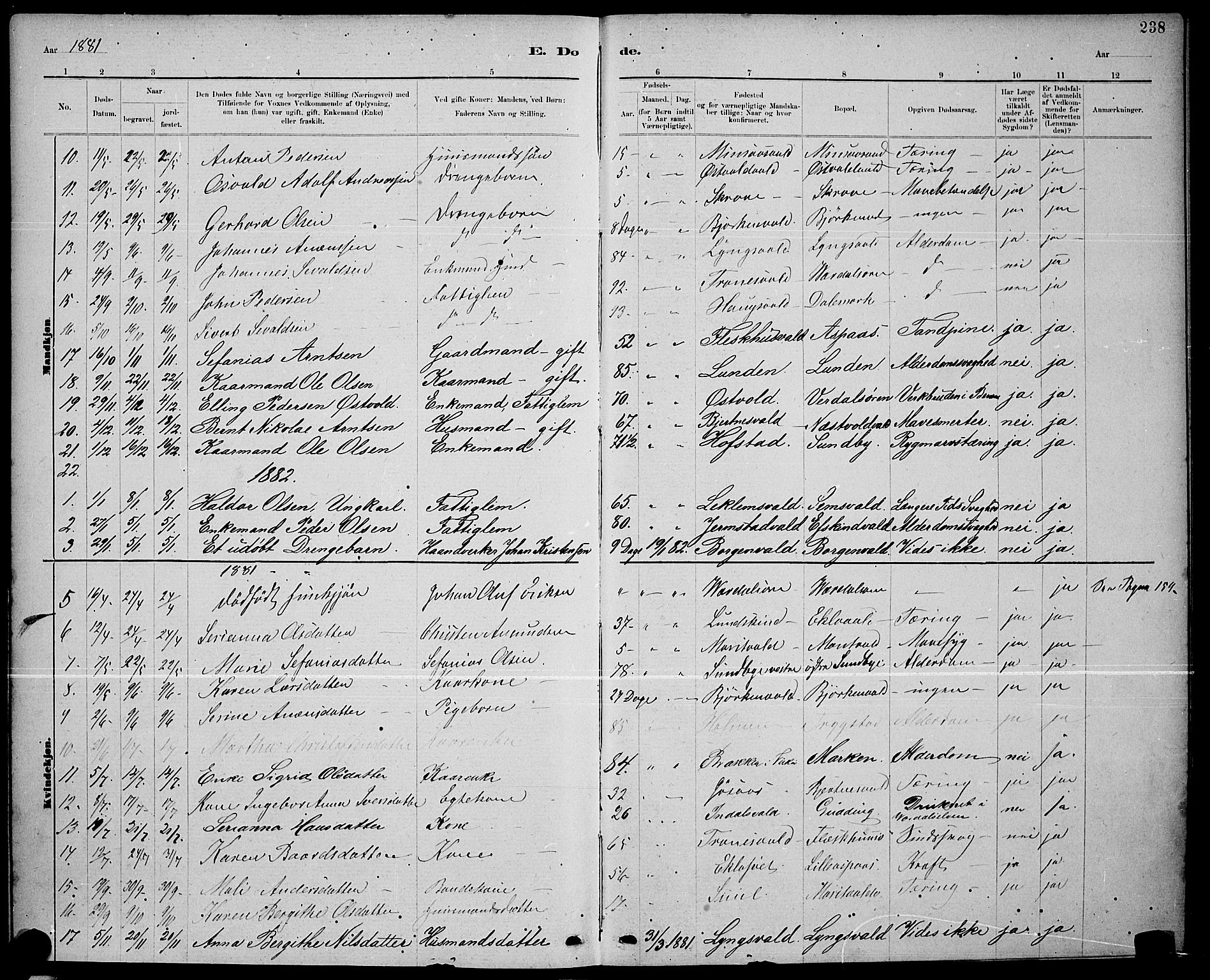 Ministerialprotokoller, klokkerbøker og fødselsregistre - Nord-Trøndelag, SAT/A-1458/723/L0256: Parish register (copy) no. 723C04, 1879-1890, p. 238