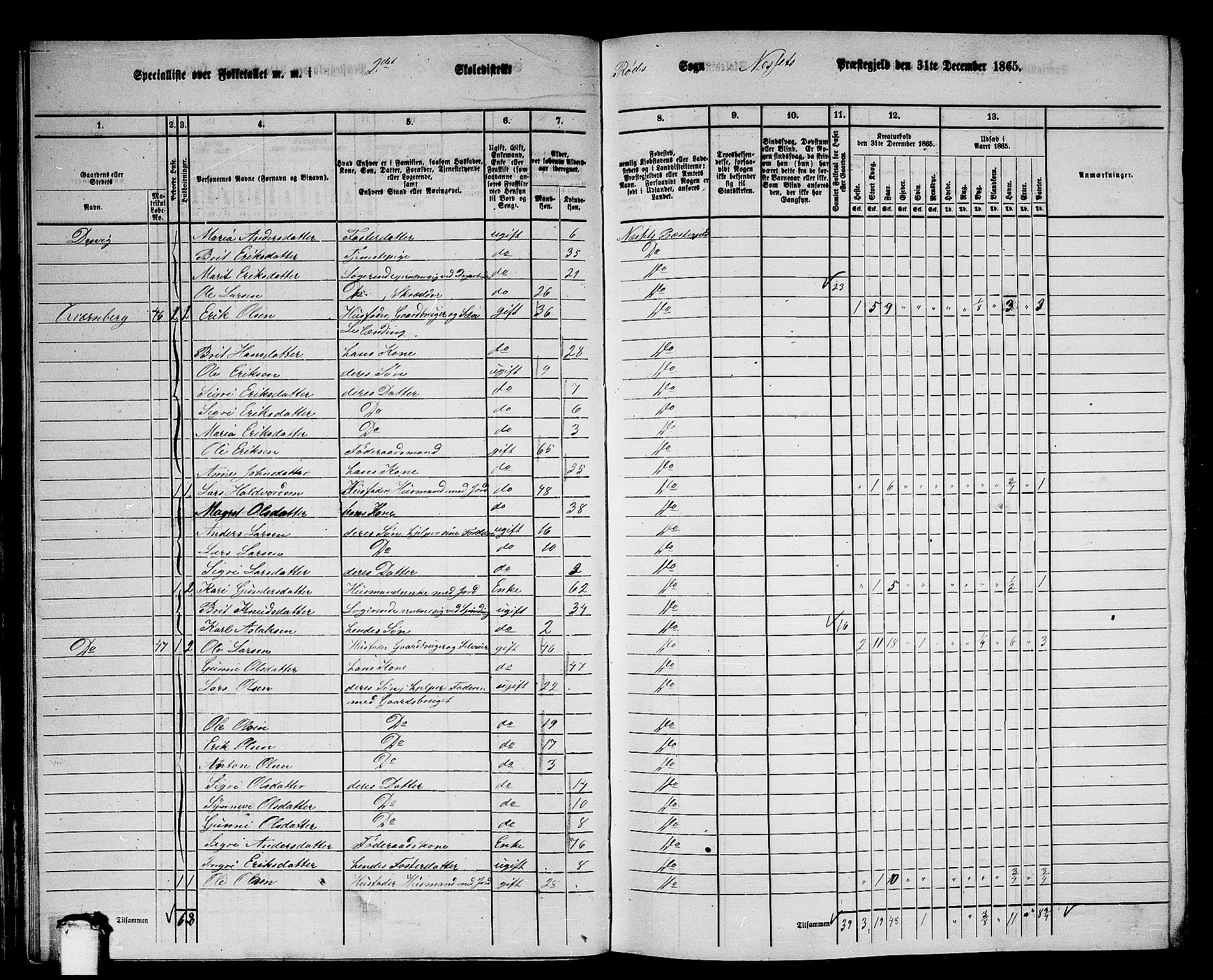 RA, 1865 census for Nesset, 1865, p. 40