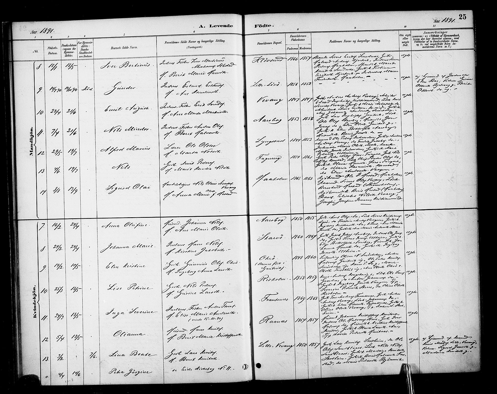 Ministerialprotokoller, klokkerbøker og fødselsregistre - Møre og Romsdal, SAT/A-1454/570/L0832: Parish register (official) no. 570A06, 1885-1900, p. 25