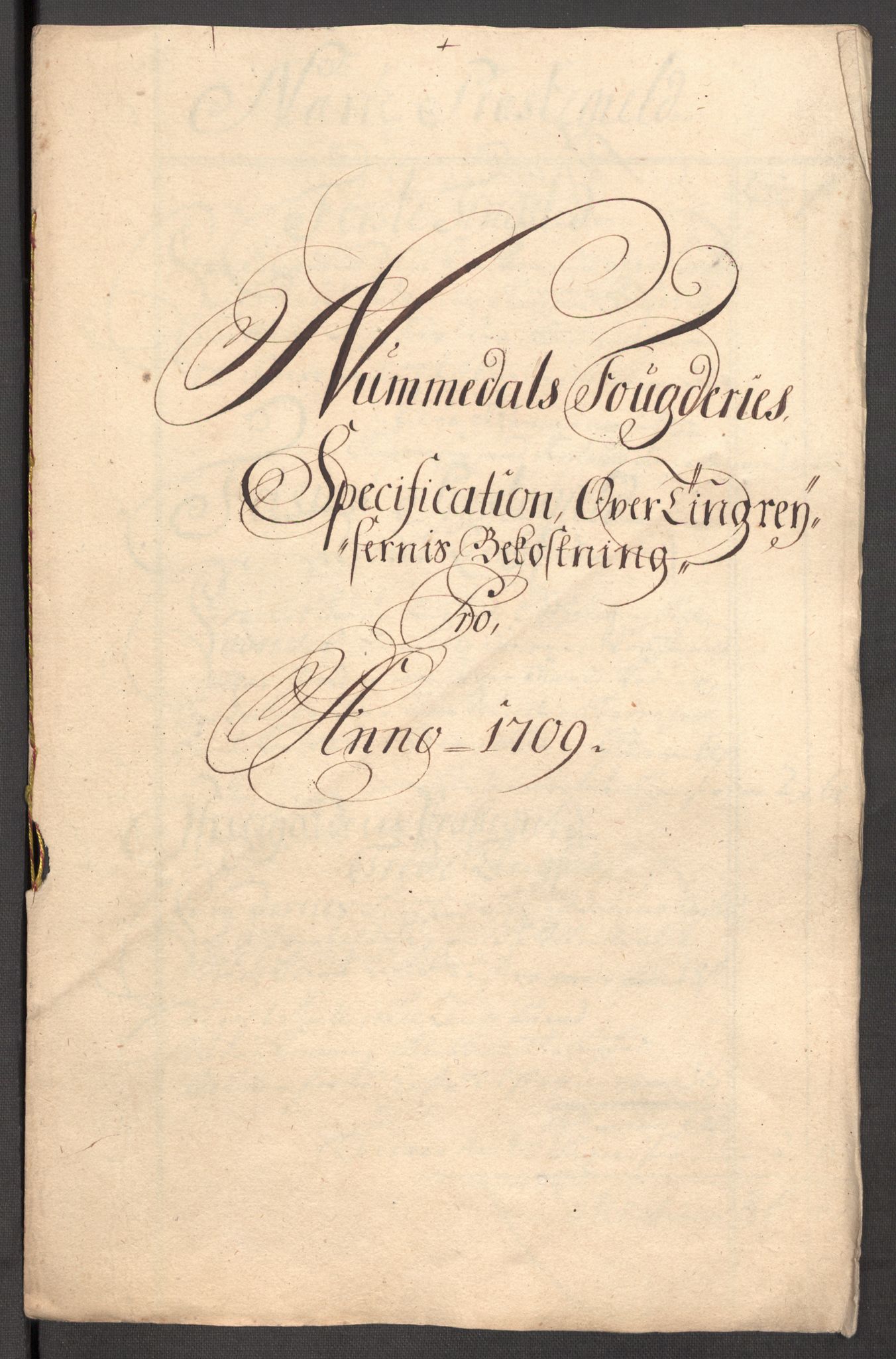 Rentekammeret inntil 1814, Reviderte regnskaper, Fogderegnskap, RA/EA-4092/R64/L4431: Fogderegnskap Namdal, 1709-1710, p. 208